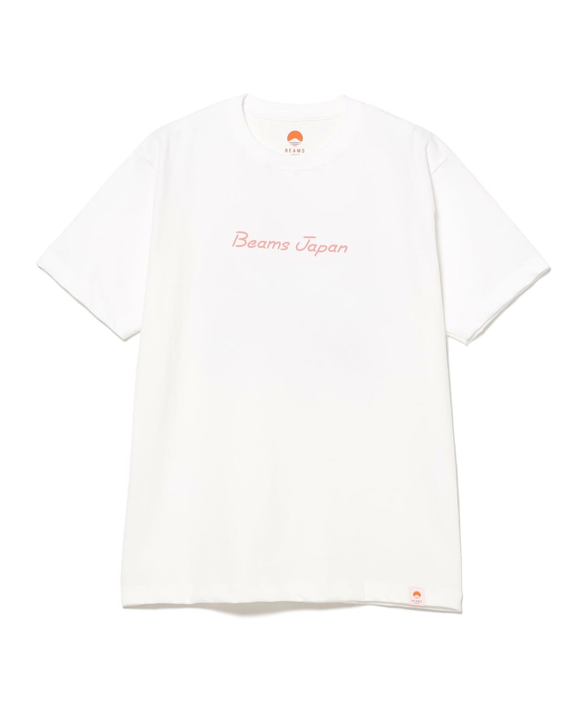 【预购】BEAMS JAPAN【别注】富士山 T恤 Vol.3