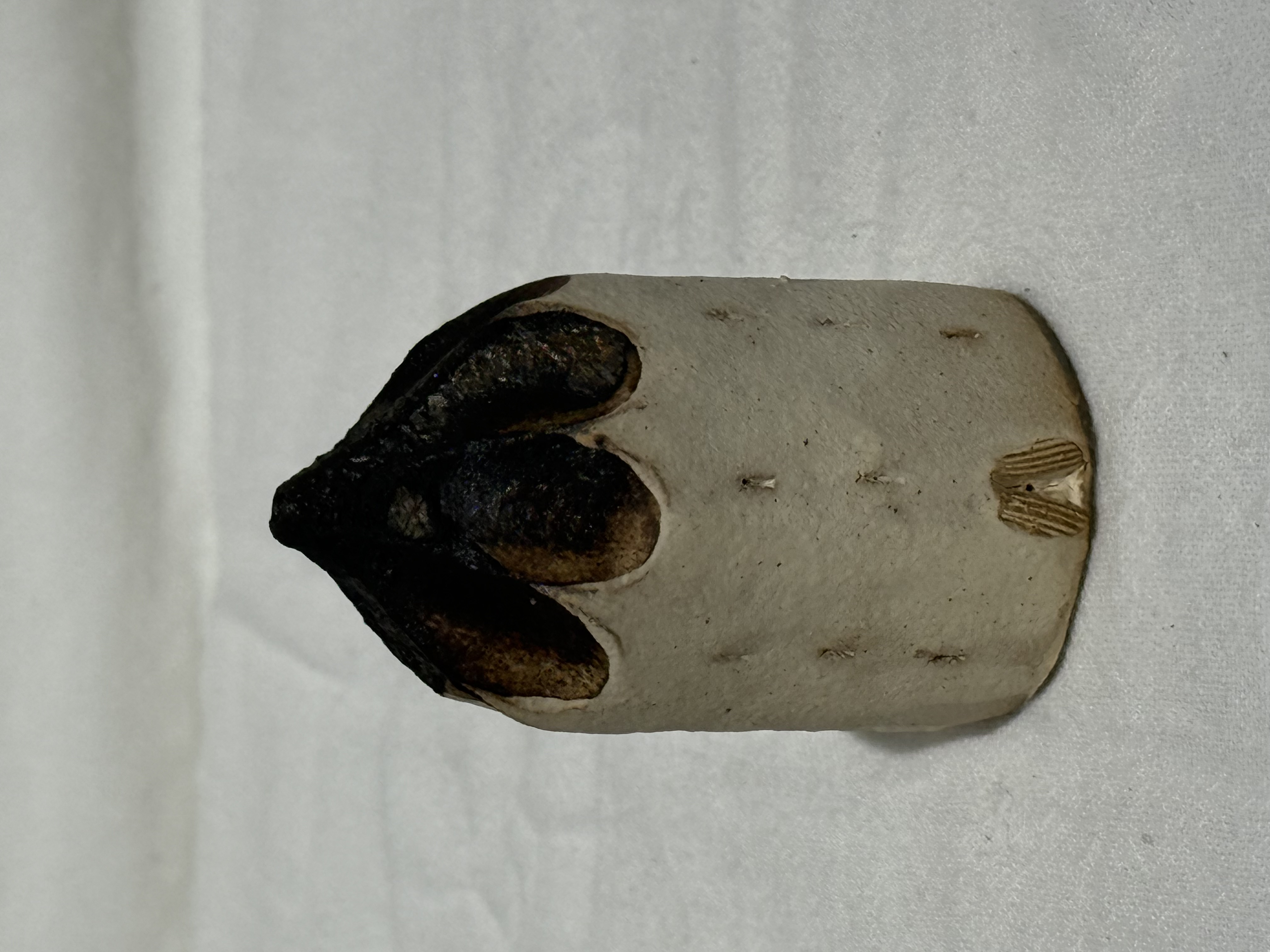 村上直子 房子擺件 圓形