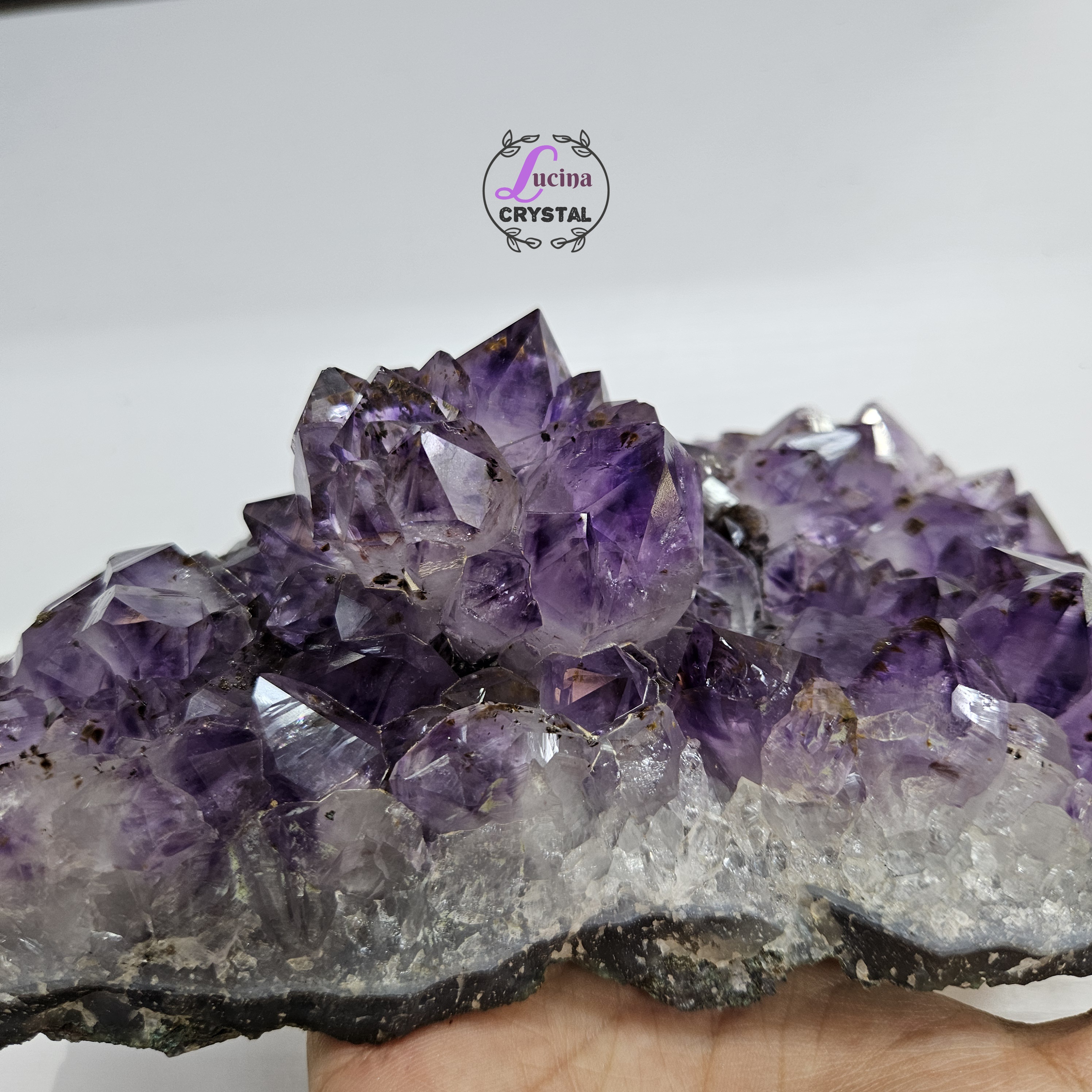 (Co#LC8556)紫鈦骨幹花水晶簇連木座/Elestial Amethyst Rutilated Flower Quartz Cluster w/wooden stand 