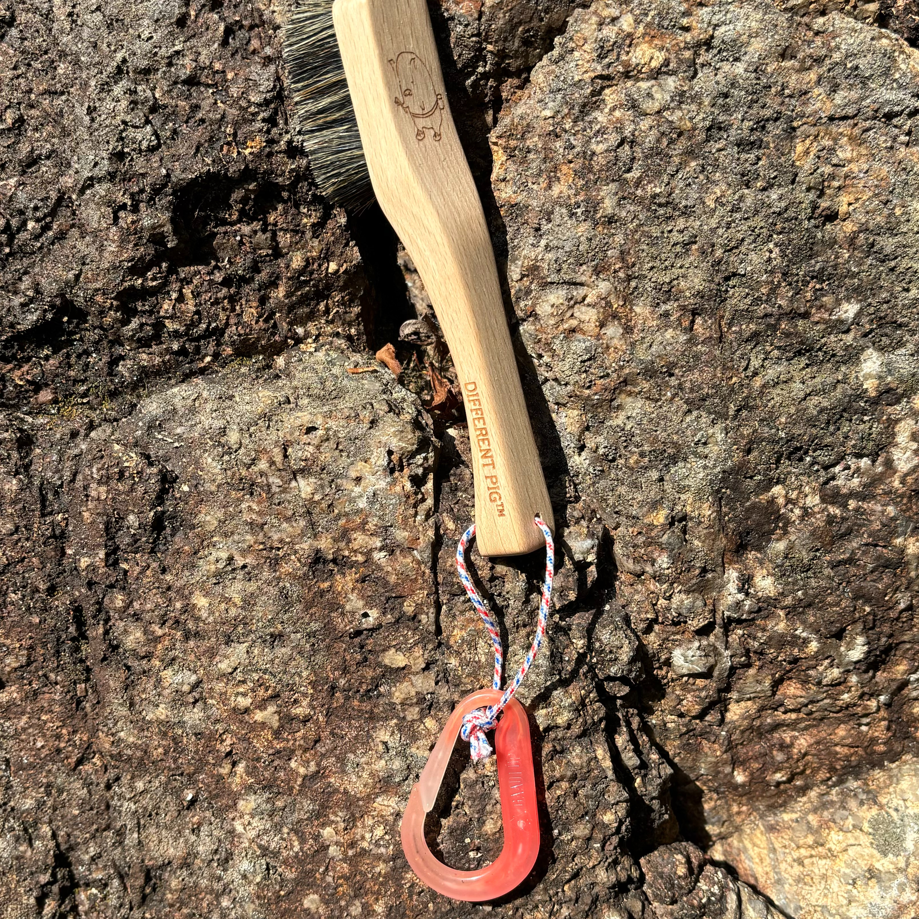 【來圖訂製】𝗗𝗜𝗙𝗙𝗘𝗥𝗘𝗡𝗧 𝗣𝗜𝗚™ OG brush with paracord fully customised by you 刻圖大豬攀岩掃