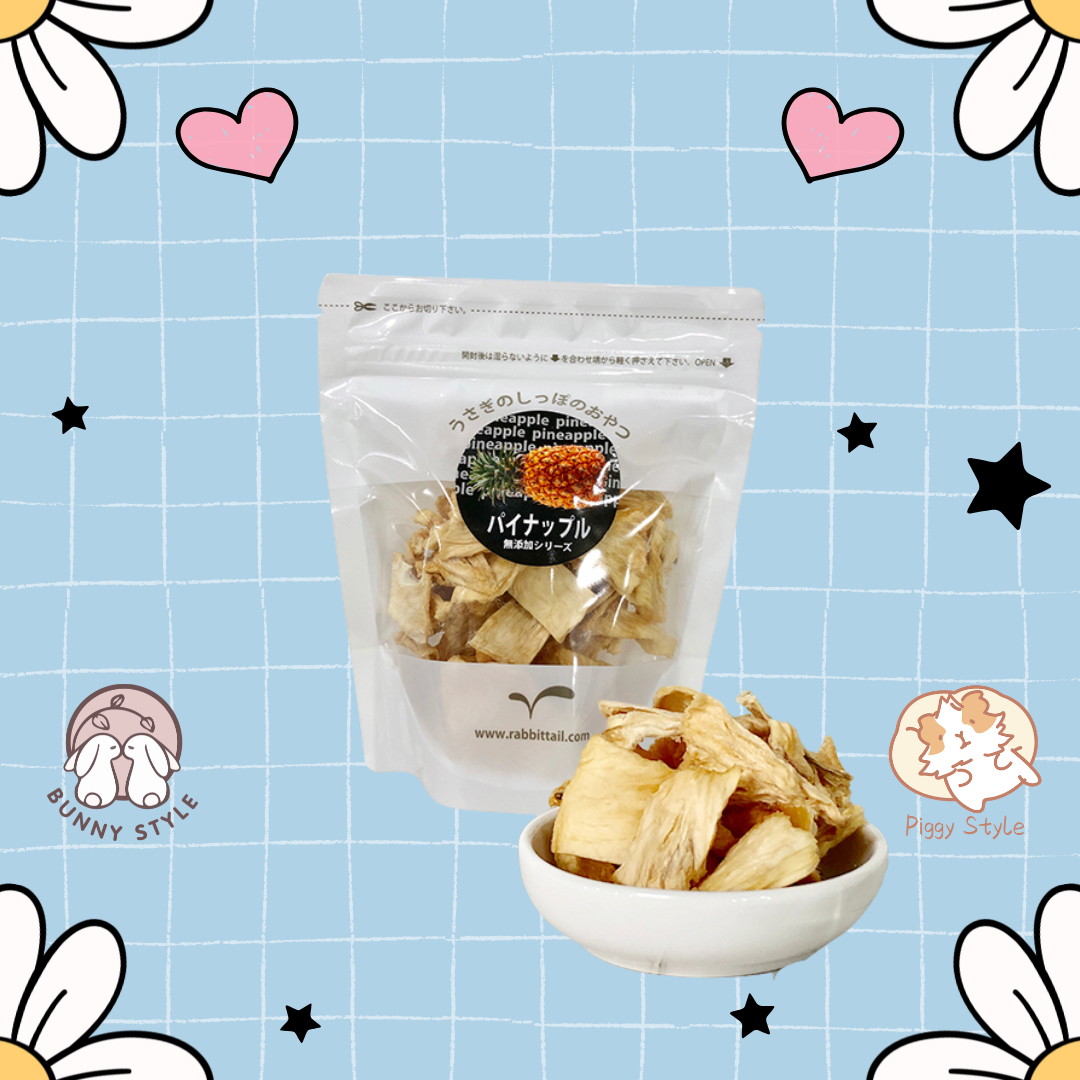 日本 RabbitTail 風乾菠蘿片 100g