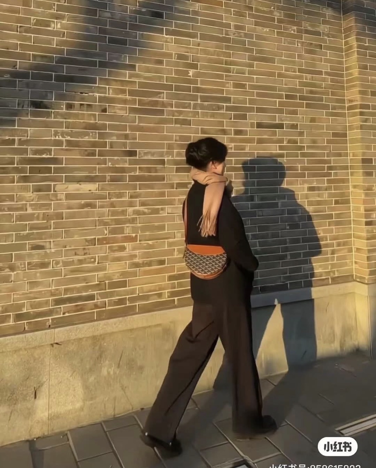 Goyard 黑啡色半月包