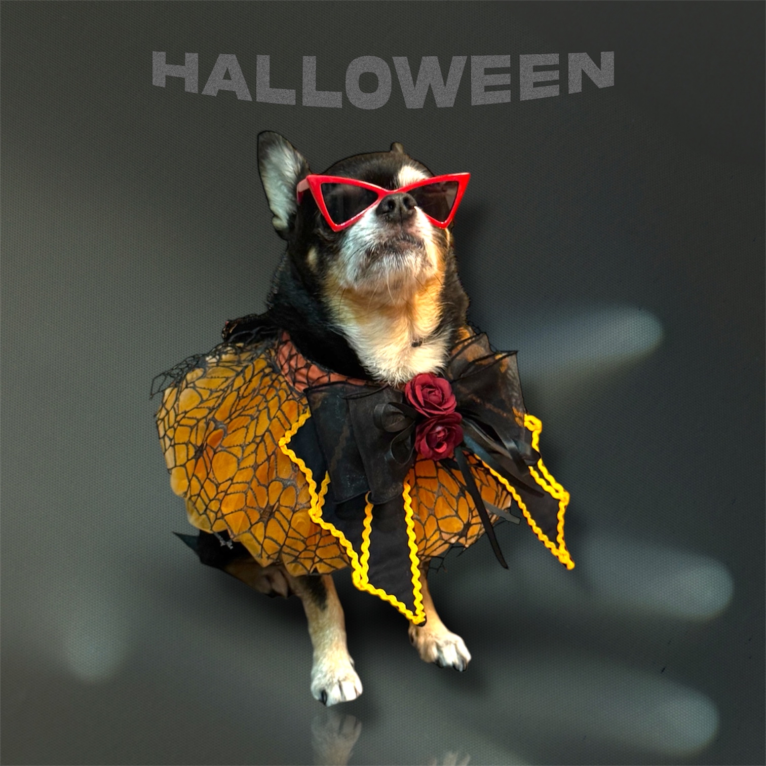 寵物手作 Halloween 暗黑者 歌德風 頸飾