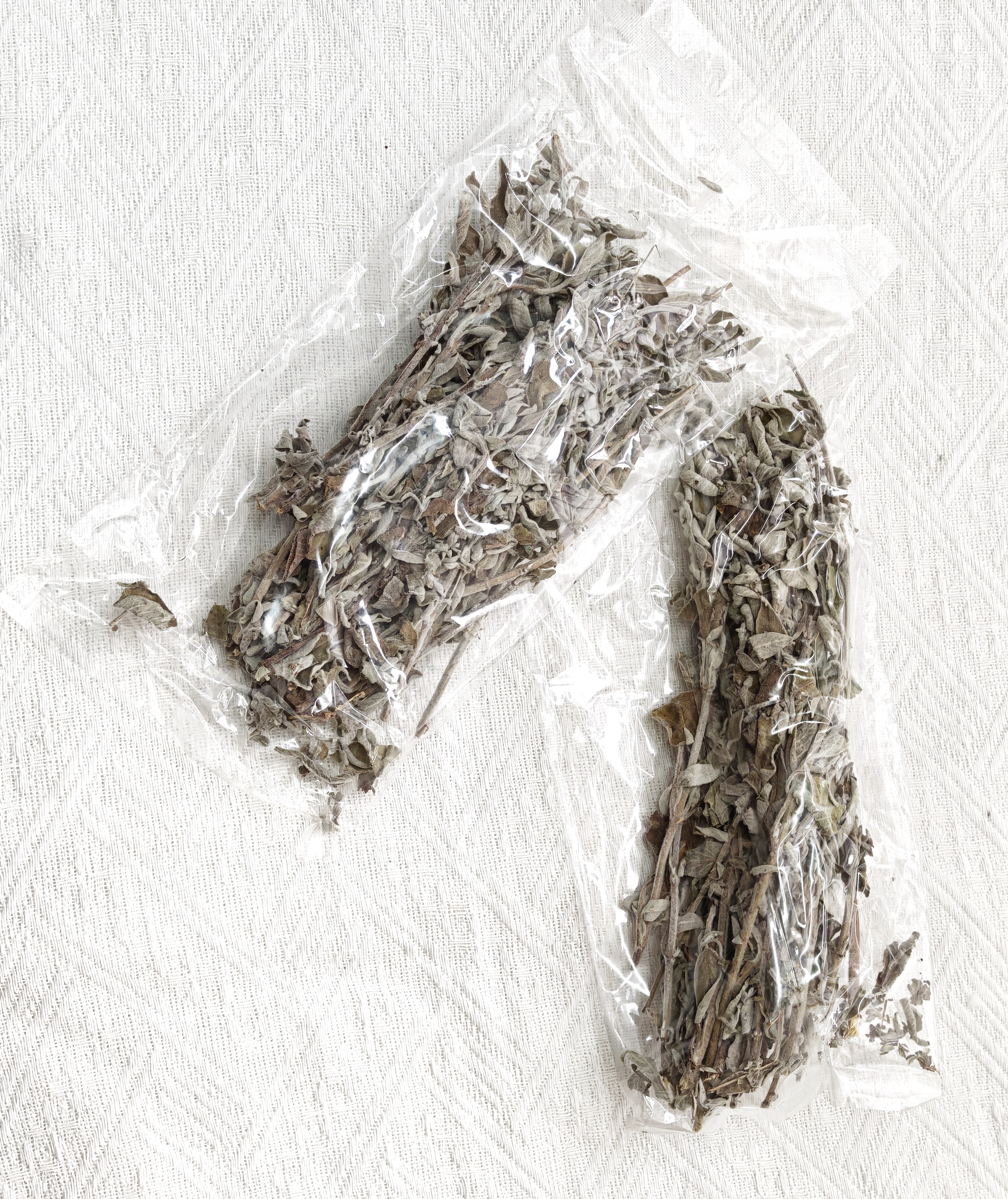 鼠尾草 Sage (捆裝)