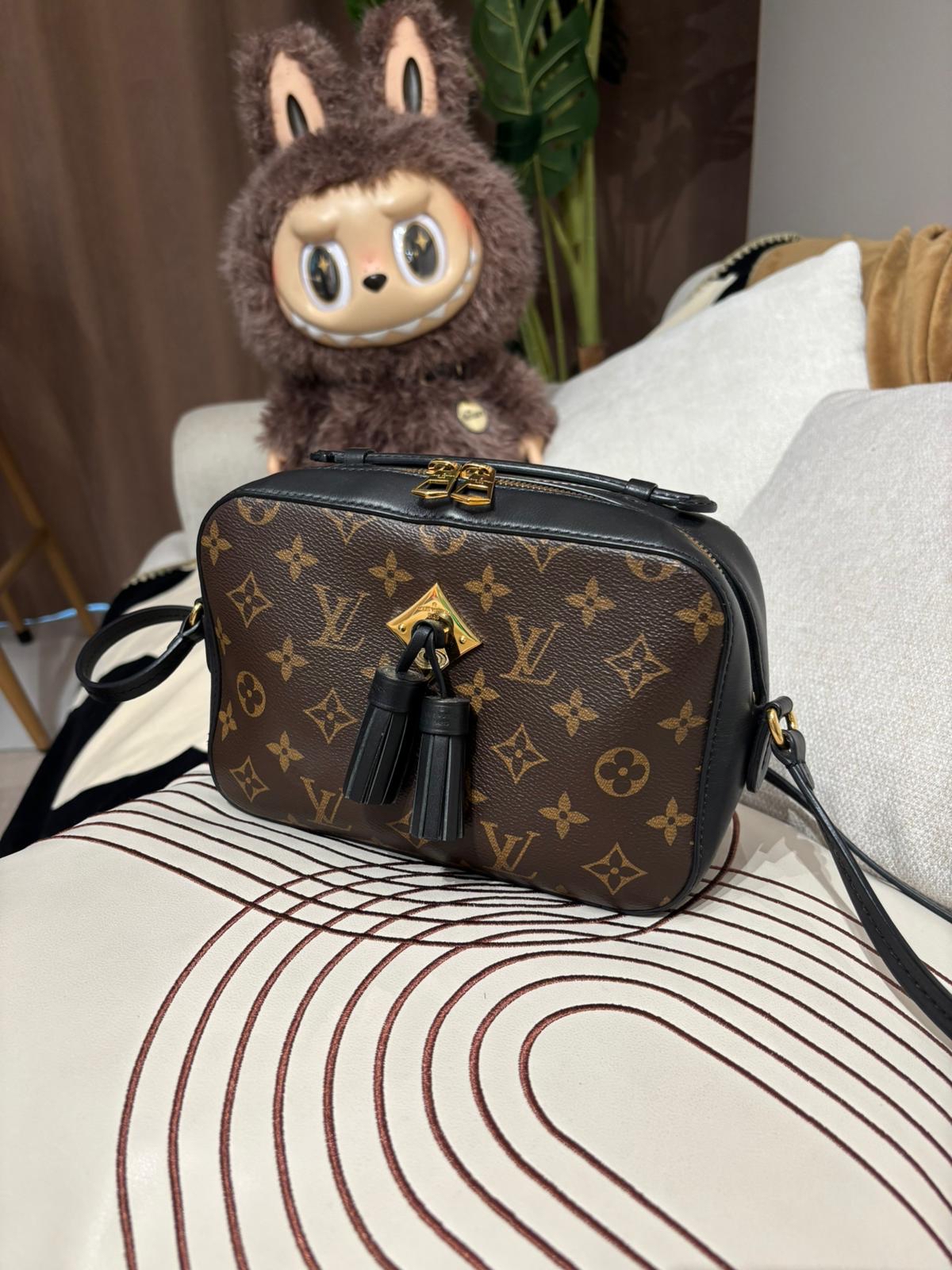 Lv SAINTONGE M43555 camera bag 100%Authentic,93%New ✅Dust bag 