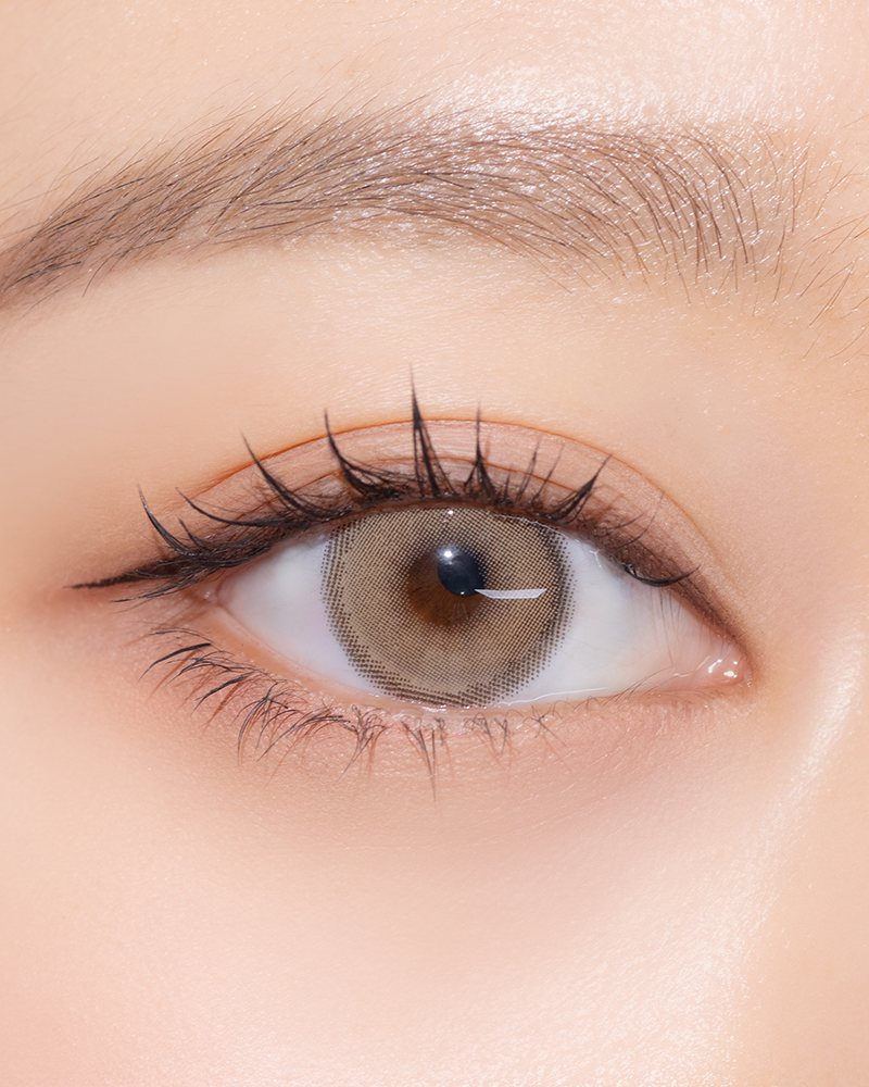 SIESTA - Sahara Fox (1month/2P)