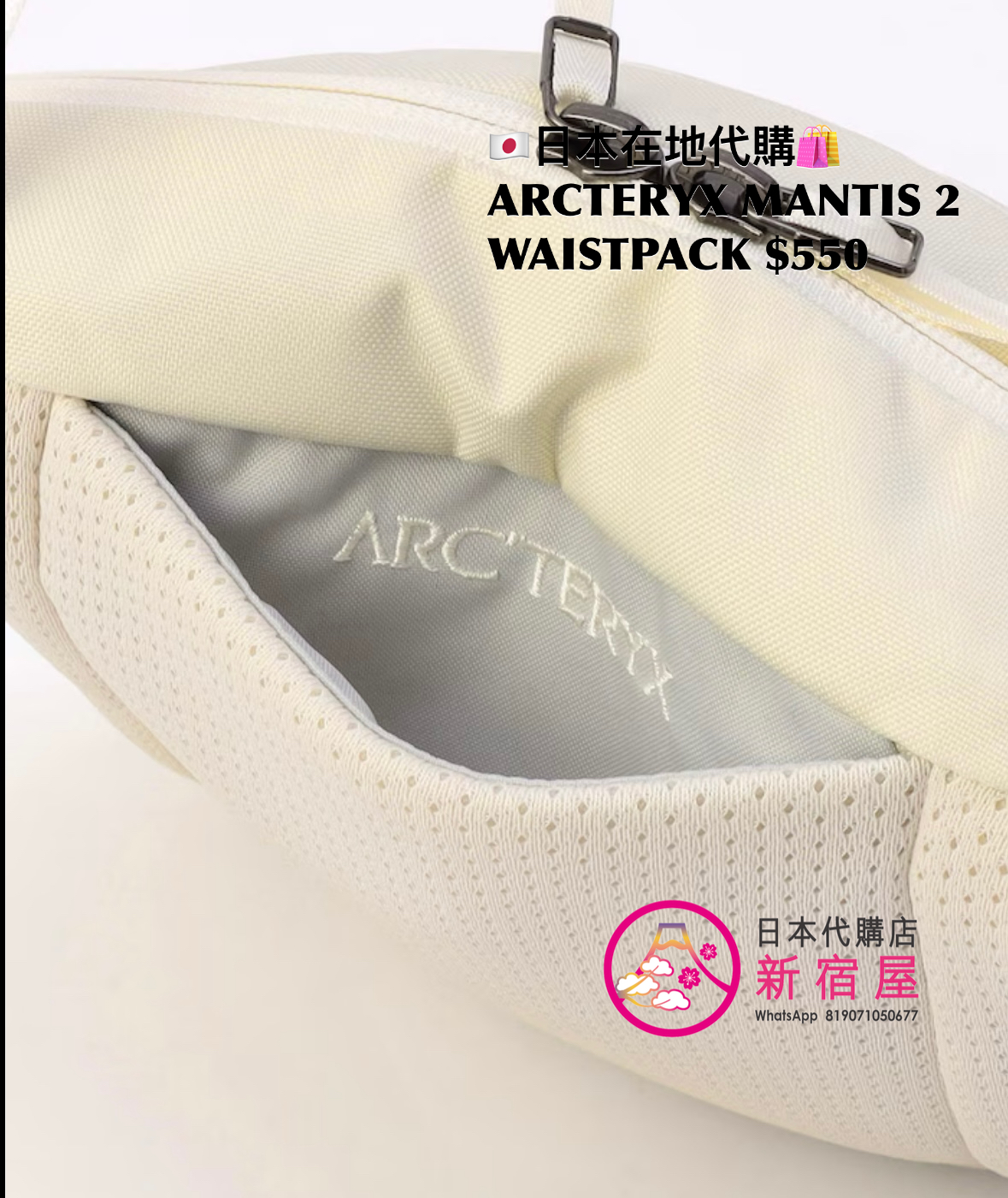 ARCTERYX MANTIS 2 WAISTPACK