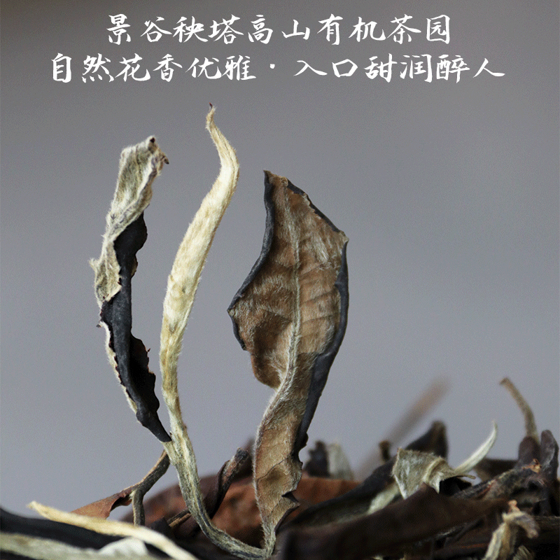 【论道】云南有机月光白茶Yunnan white tea礼盒茶叶罐子四罐装茶叶礼品中国茶叶月光美人有机茶健康养生茶办公室喝茶伴手礼礼物推荐礼诚意茶礼