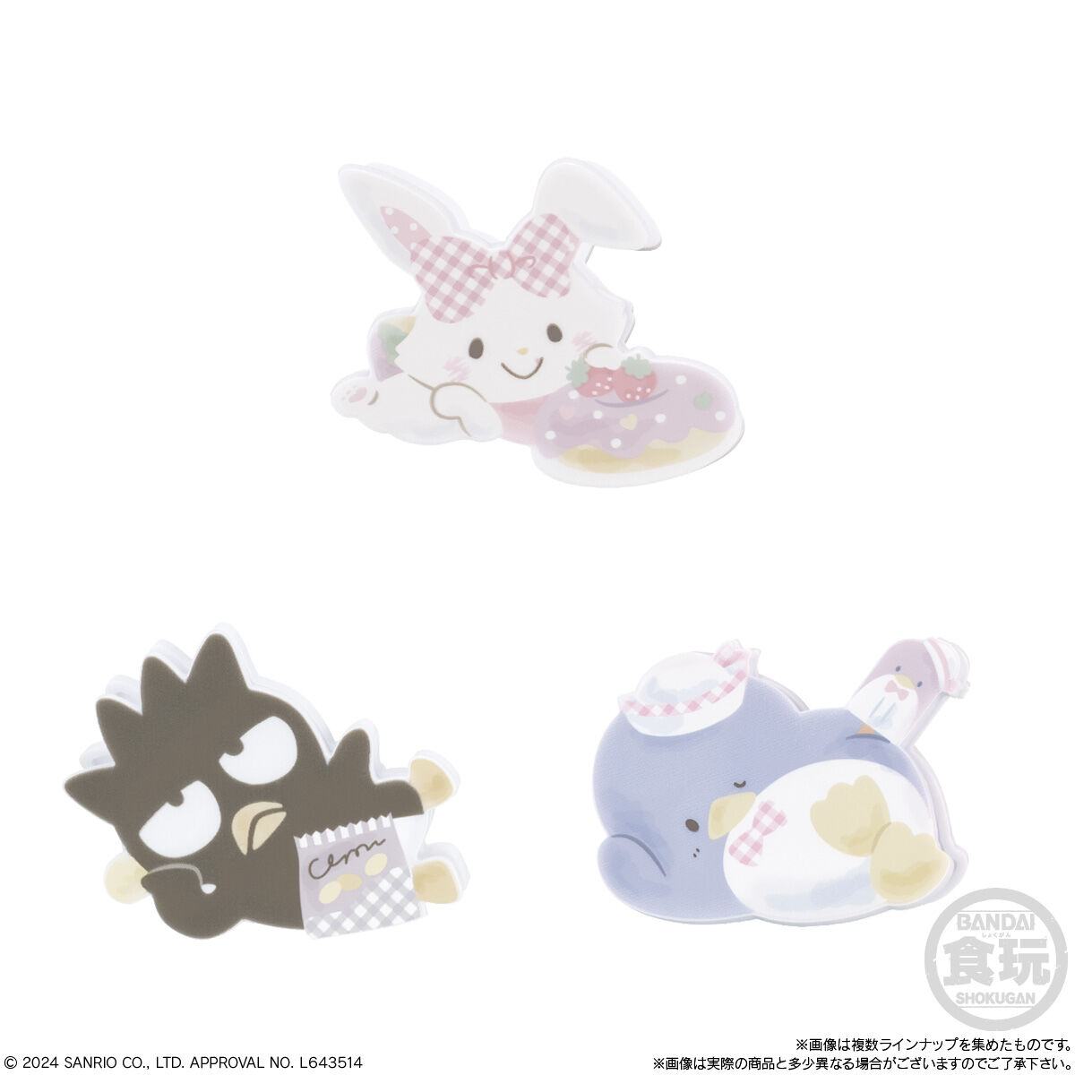 現貨 Bandai 食玩 Sanrio 文件夾