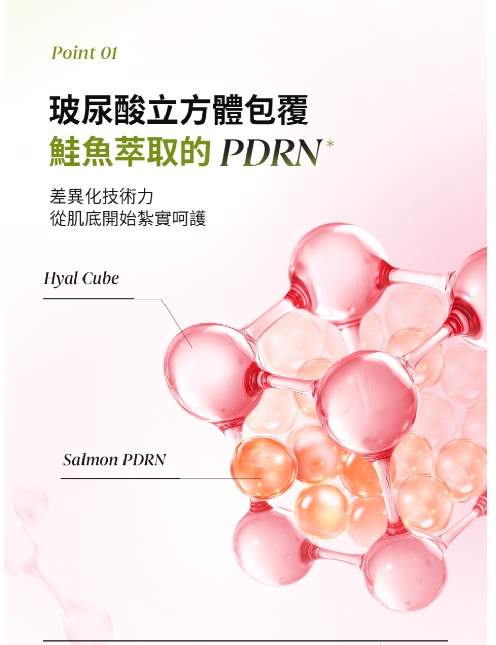 ​​現貨💜 SAM'U SAMU PDRN 麗珠蘭 SAM'U專業全效緊緻逆齡奇肌安瓶 PDRN專業全效緊緻逆齡奇肌安瓶 專業全效緊緻逆齡奇肌安瓶 SAM'U專業全效緊緻逆齡奇肌精華 SAM'U緊緻逆齡安瓶 😃韓國日本💜