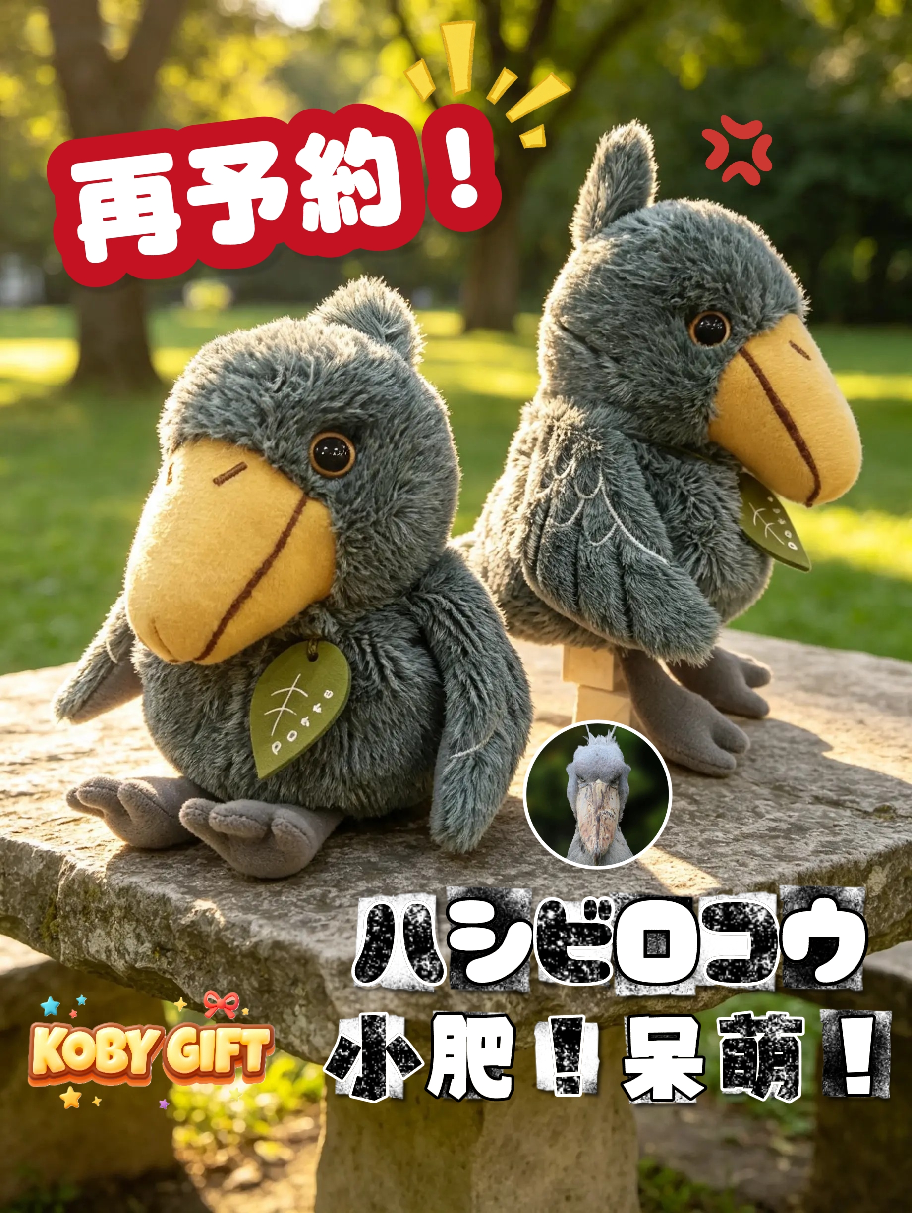 【Tsungting Wing專用】