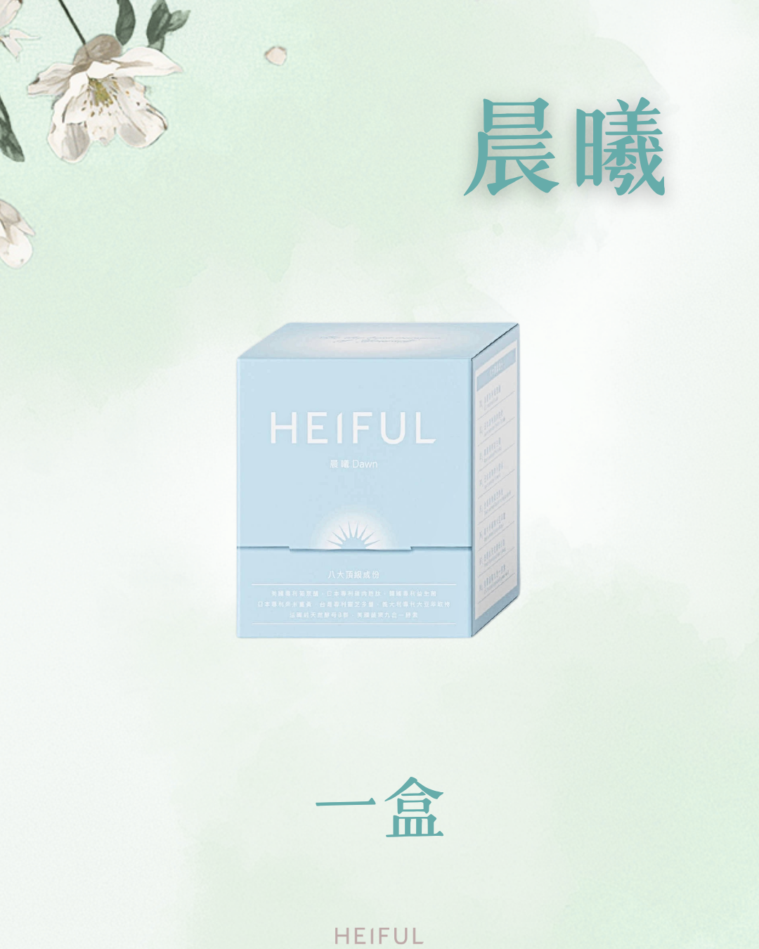 【2026療癒月】晨曦｜HEIFUL
