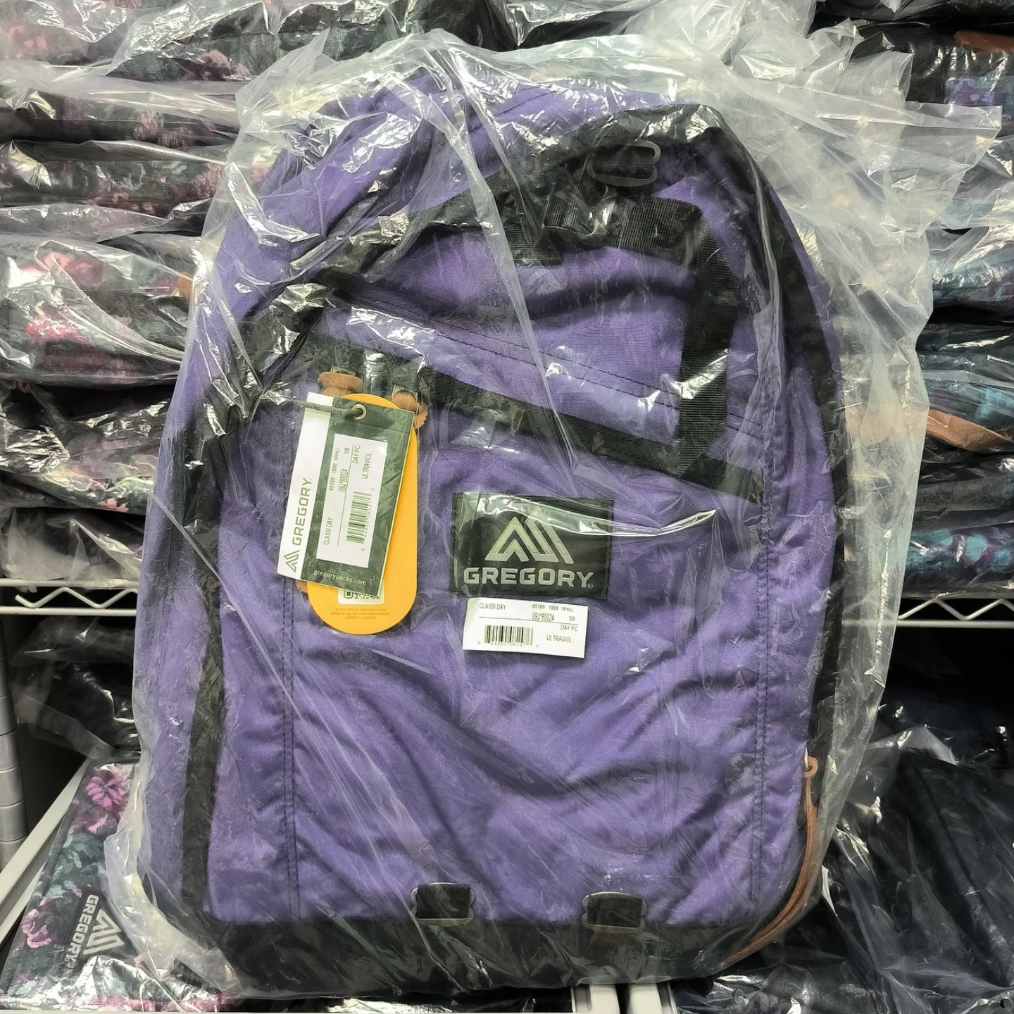 【現貨】GREGORY DAY PACK 26L ULTRA VIOLET 【現貨36小時內寄出】