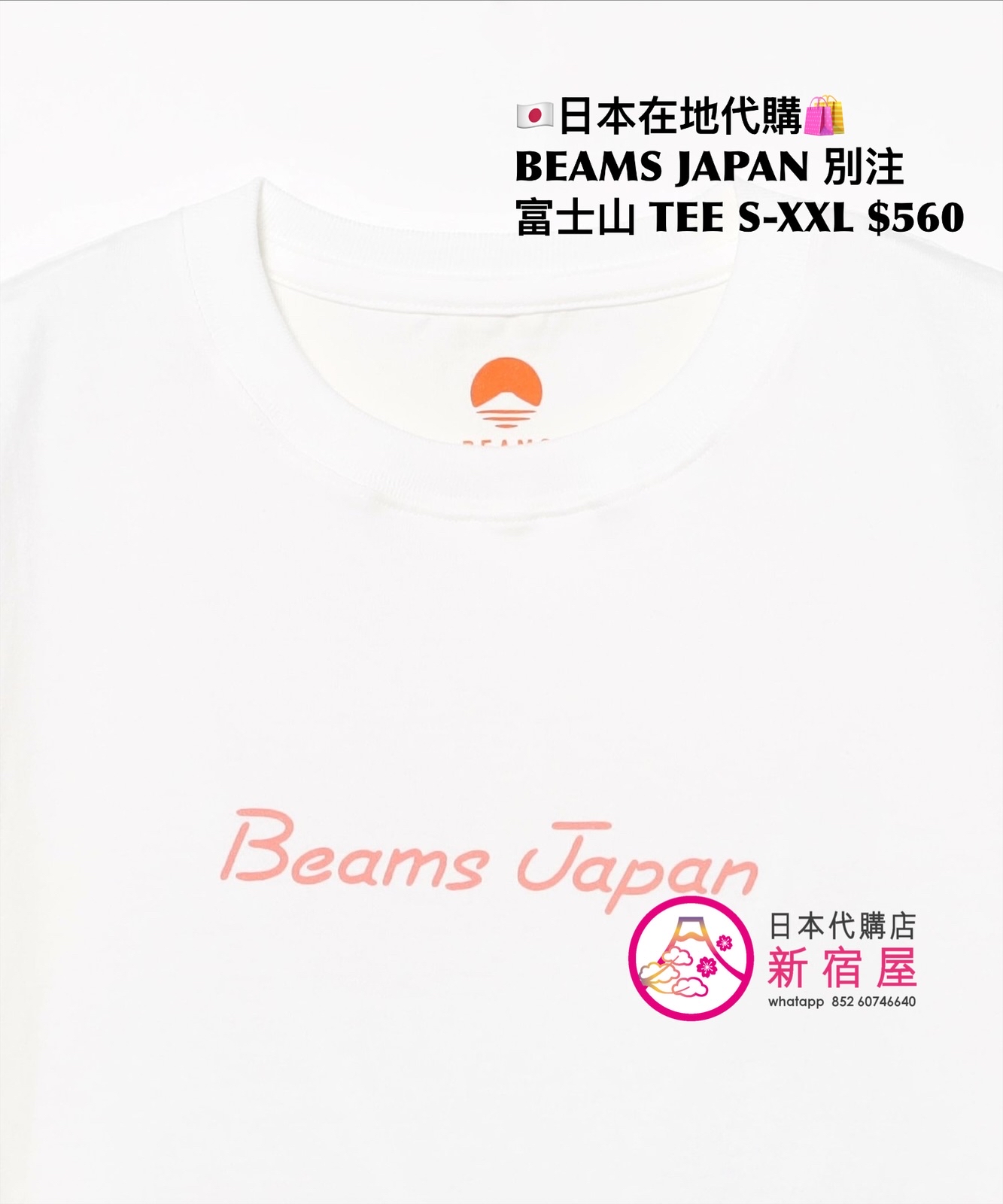 BEAMS JAPAN 別注 富士山 T-SHIRT