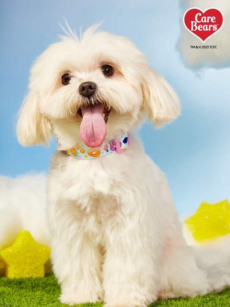 🌈Care Bears 🐻彩虹熊寵物項圈