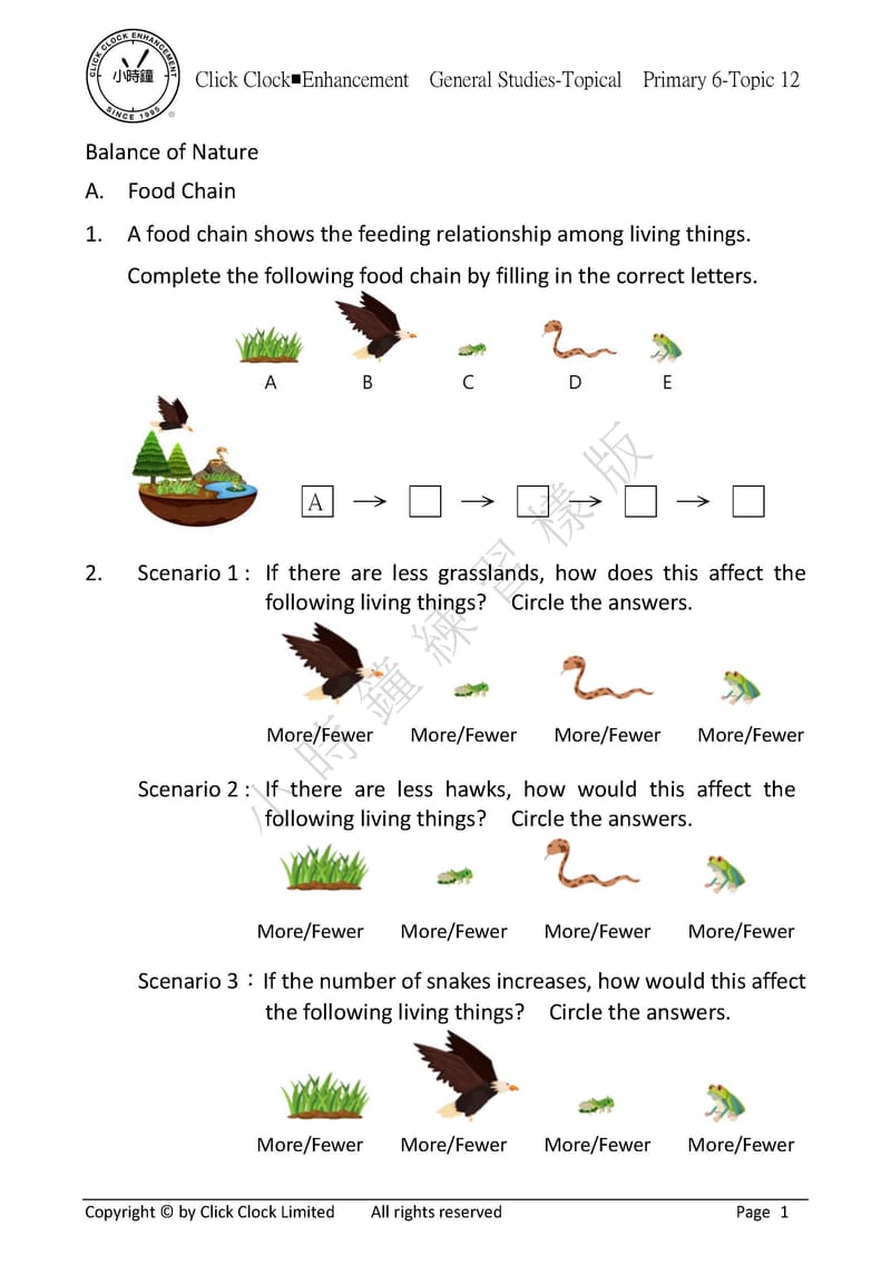 模擬試卷 (六年級)