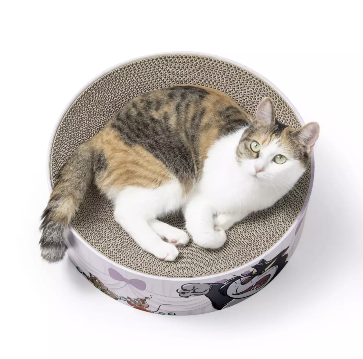 預訂 Cat Day 2026 Lucifer 貓抓板 電動逗貓玩具