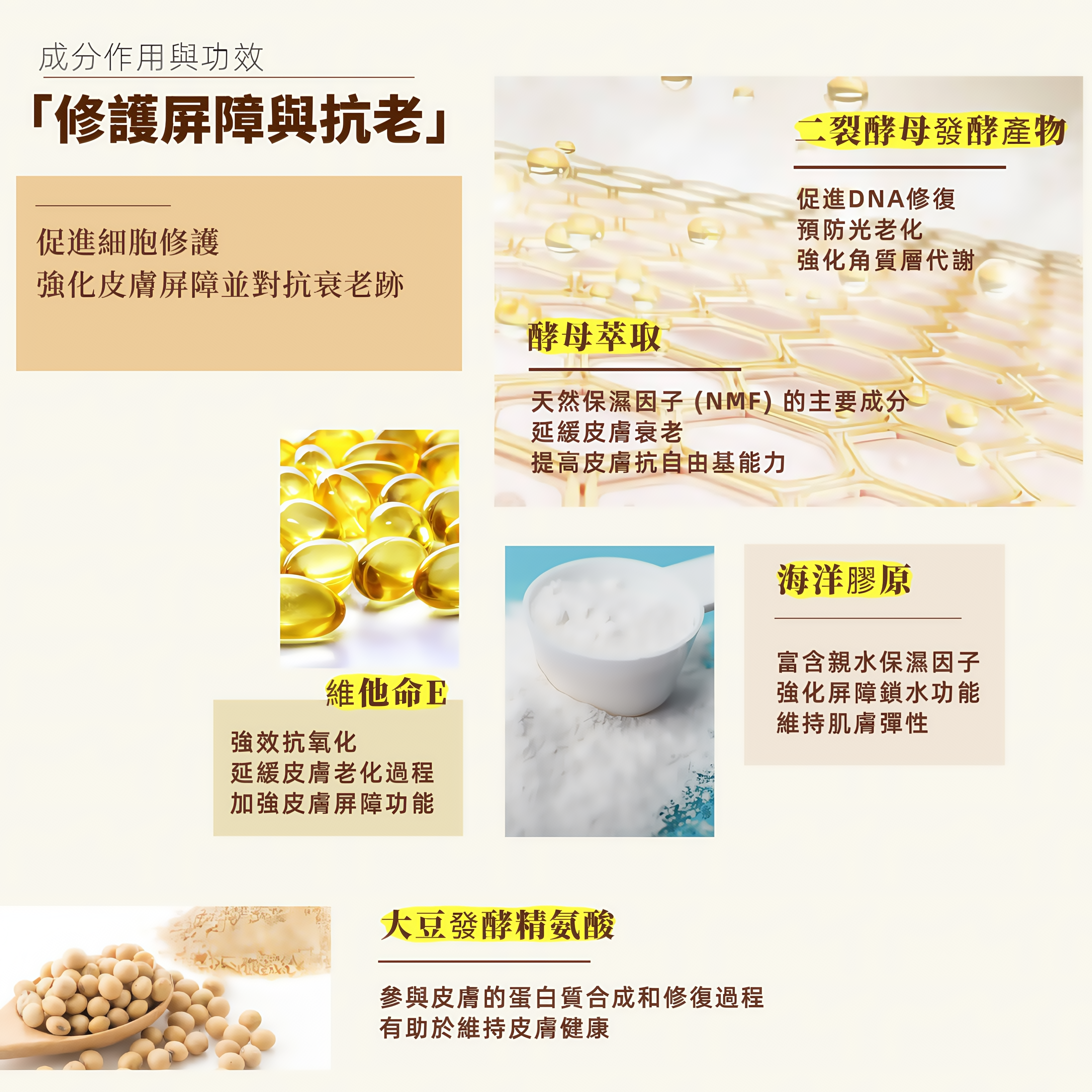 小米草與蜂蜜｜舒緩精華液