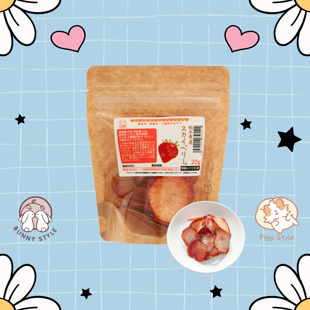 日本 Leaf corp 栃木縣產草莓片 20g