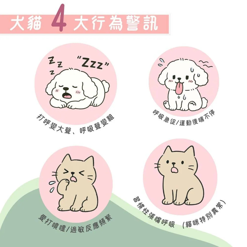 【台灣寵愛毛毛・惜命命呼吸道保健】