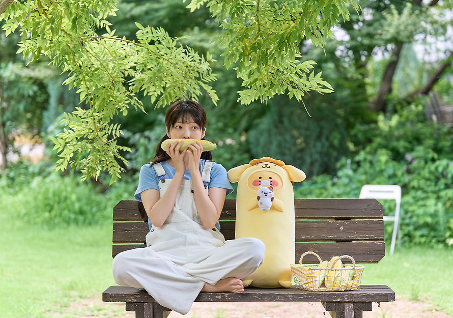 布甸狗 X 春植 大攬枕