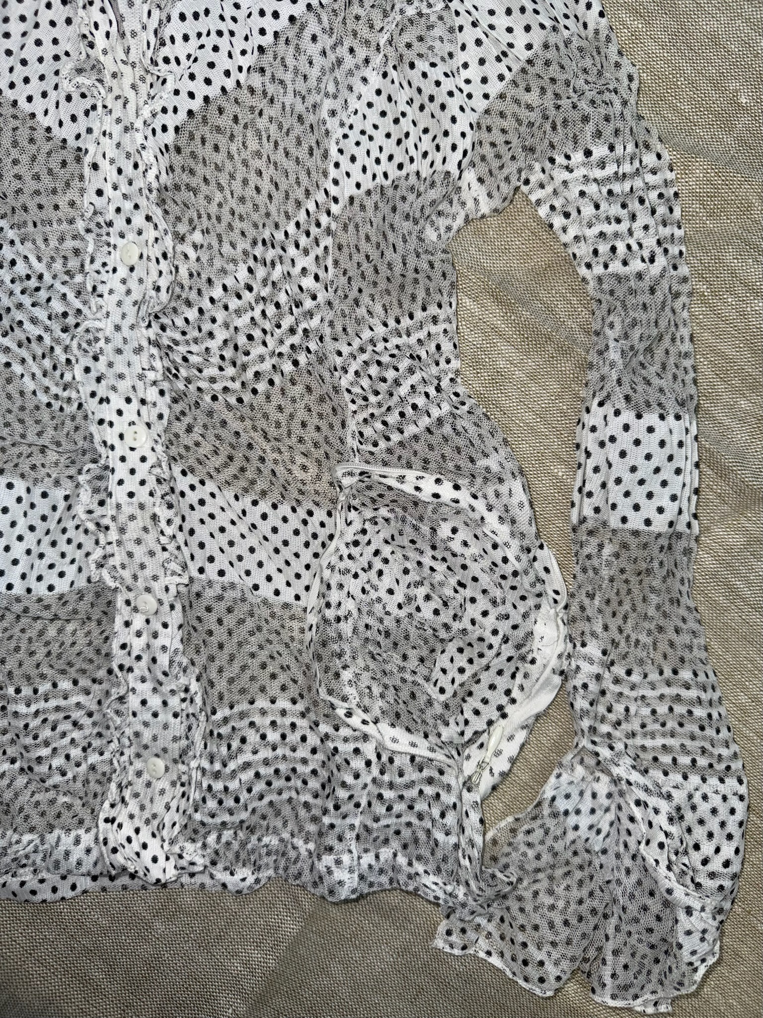 Sheer Mesh Polka Dot Top