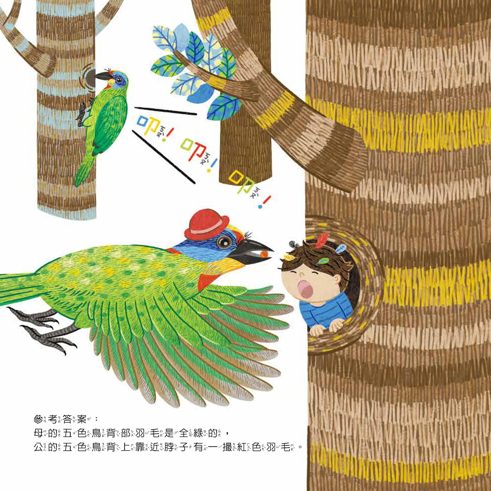 小五南 假裝我是貓頭鷹─玩假扮遊戲認識鳥類
