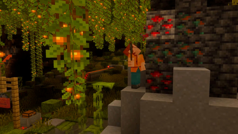 我的世界       Minecraft ｜Nintendo Switch 2