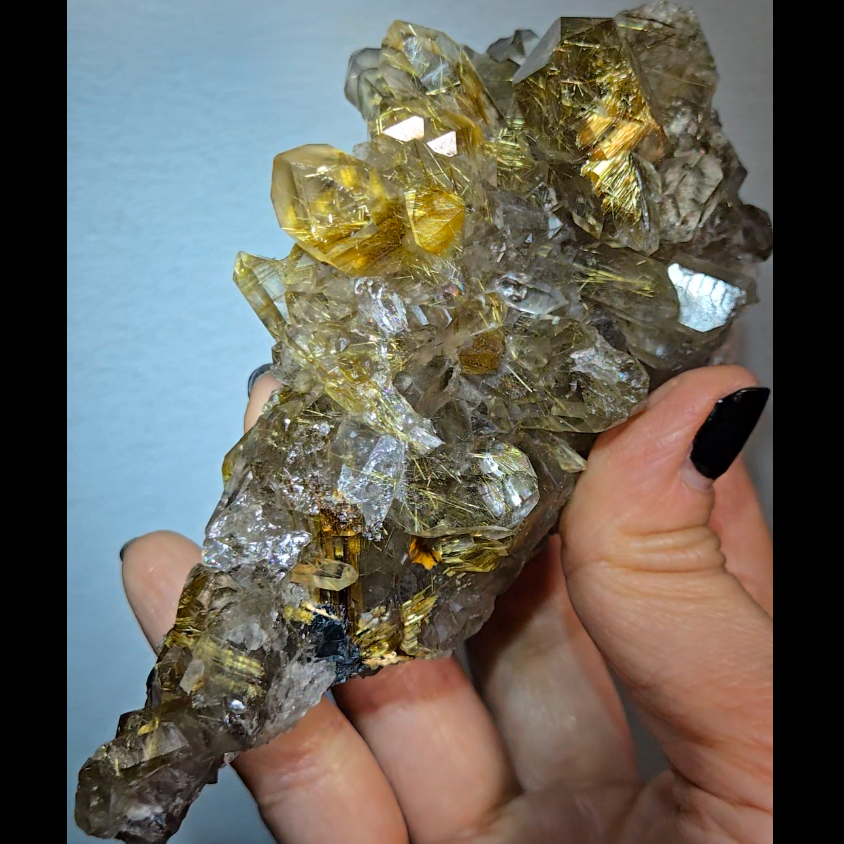 High-grade golden starburst rutiles on black hematite in quartz - RT1434