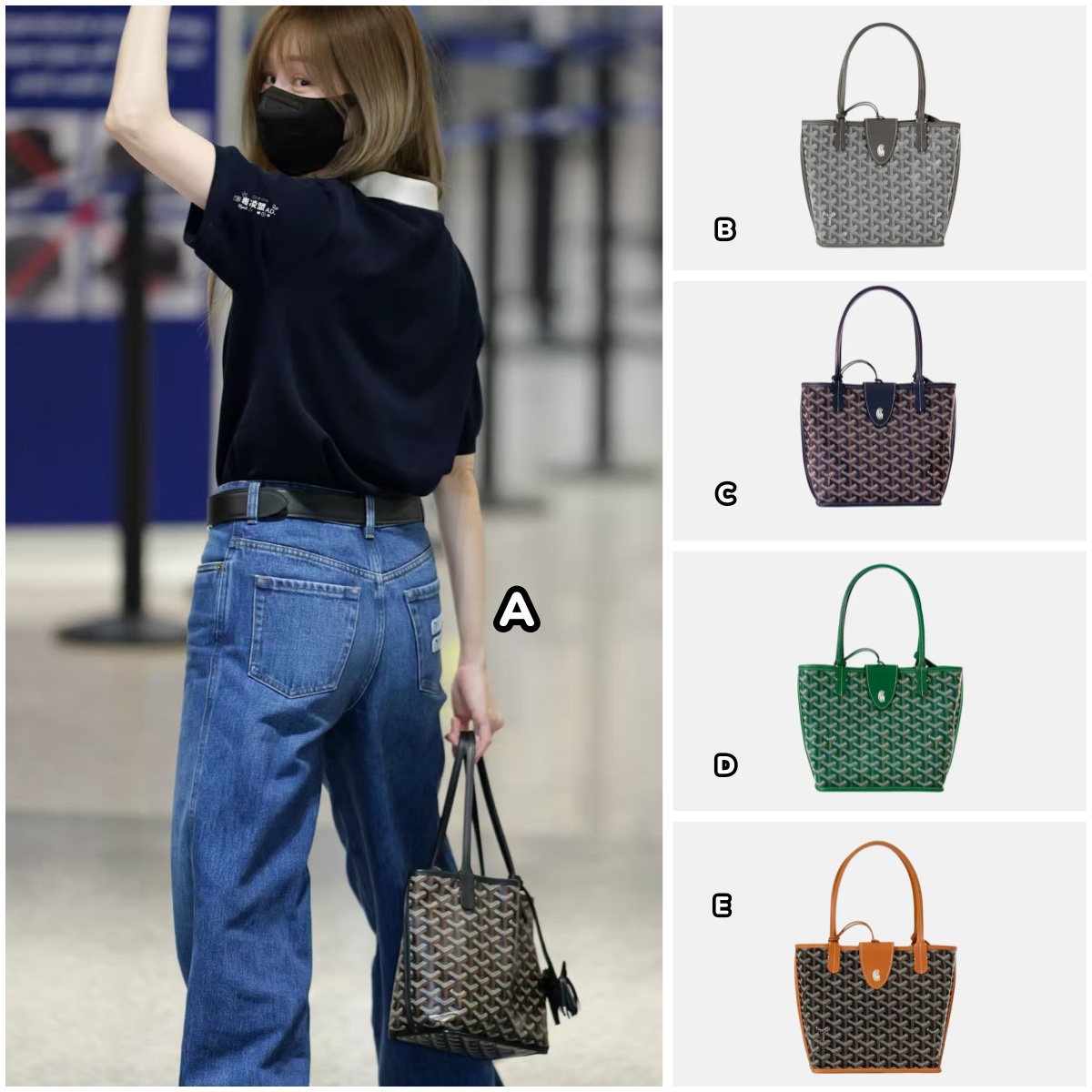 Goyard Anjou Mini Bag 雙面迷你購物袋