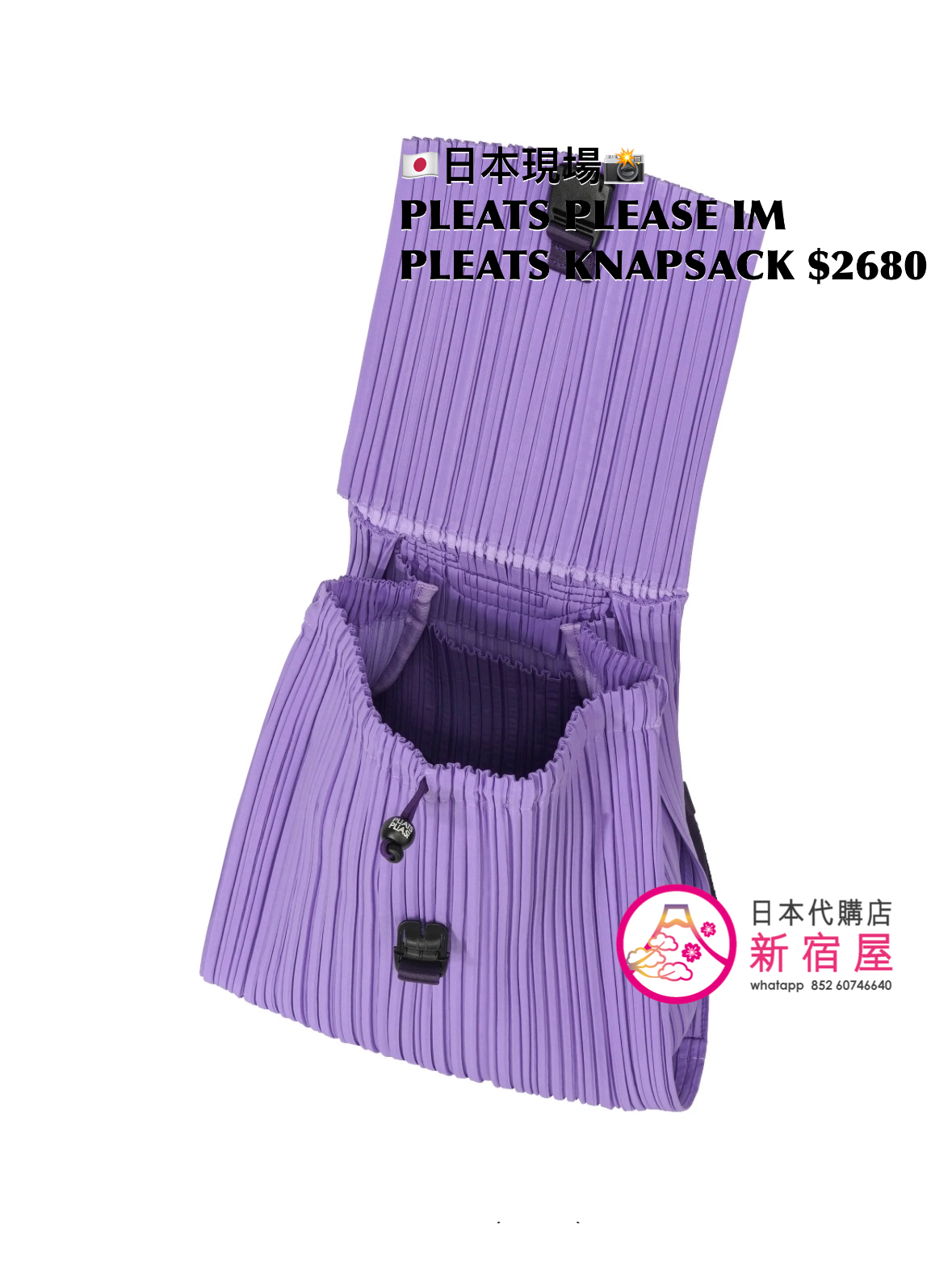 PLEATS PLEASE ISSEY MIYAKE PLEATS KNAPSACK 