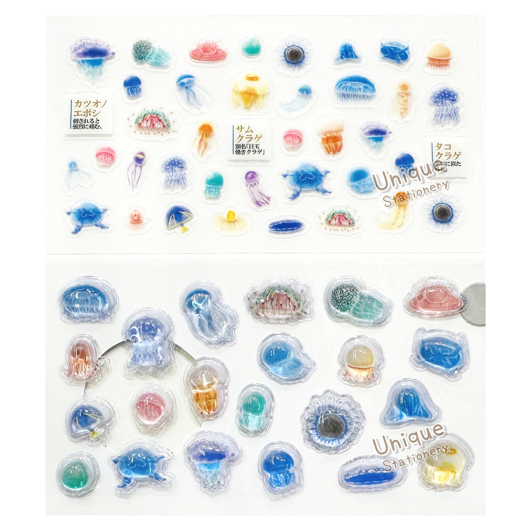 現貨｜大人之圖鑑 水母 日版 Chururin Deco Petit 迷你貼紙 (233377)