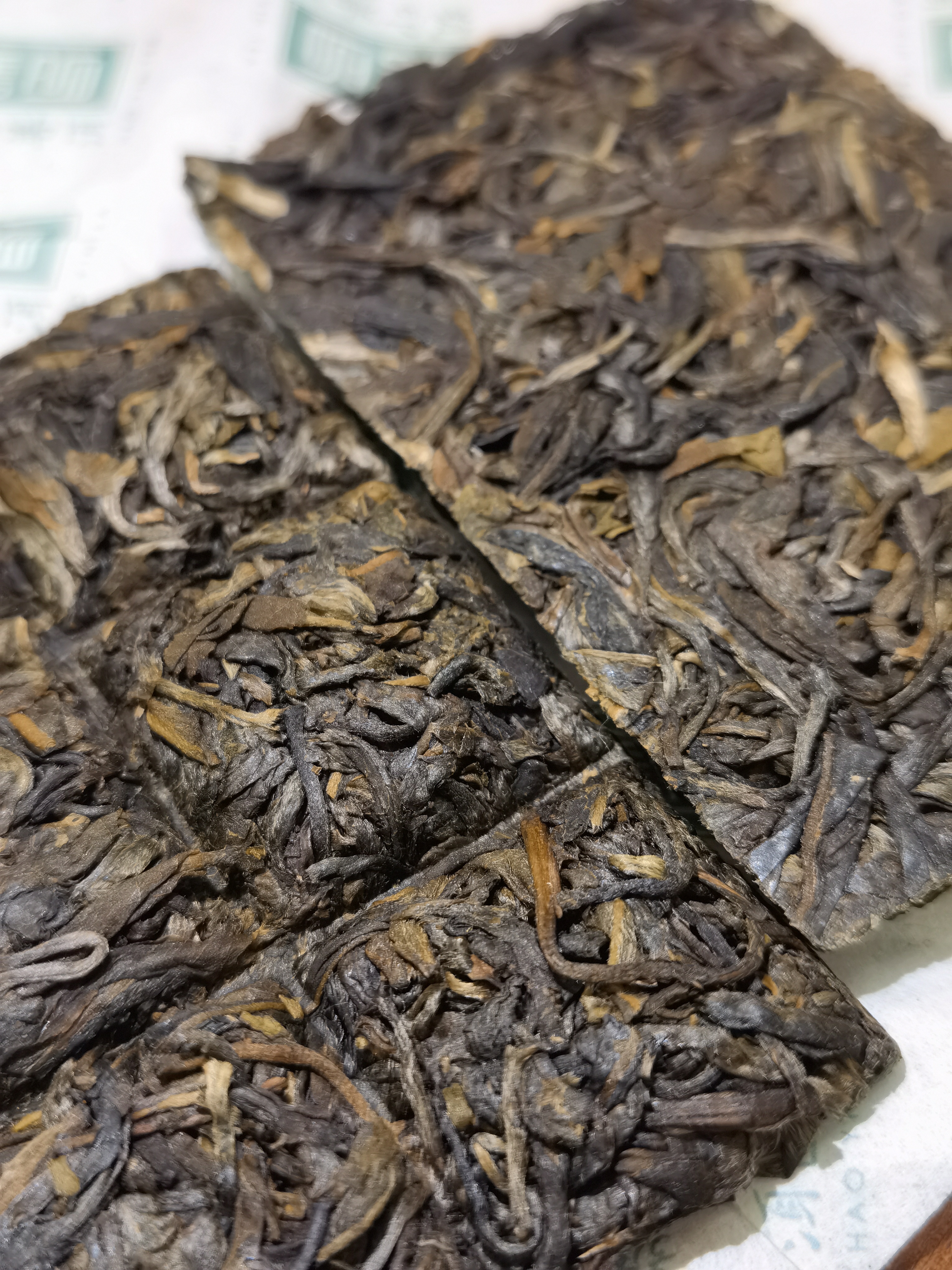 2021年 悠閒 - 高海拔古樹 (朱古力形, 一片6格)-30g