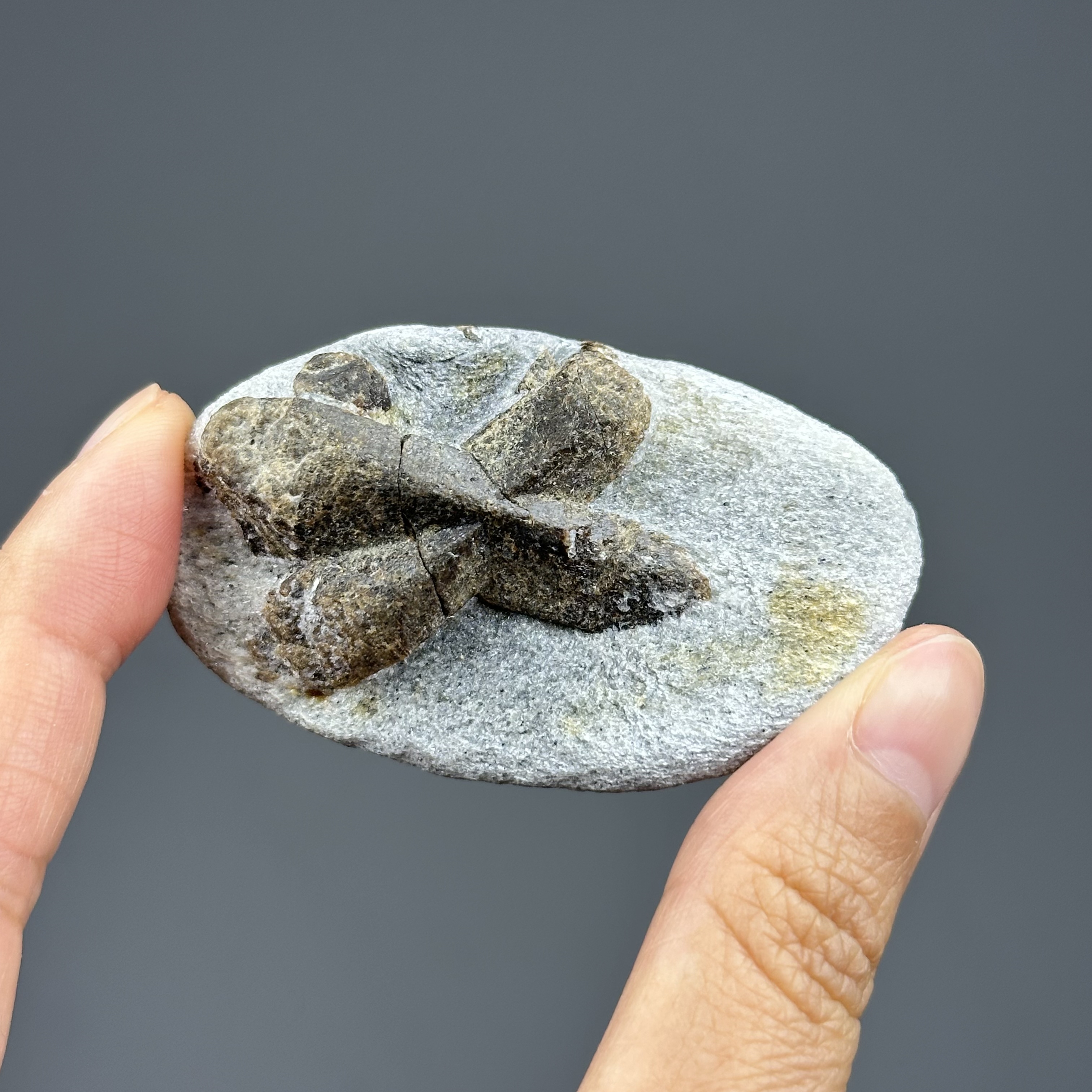 Staurolite - 俄羅斯十字石