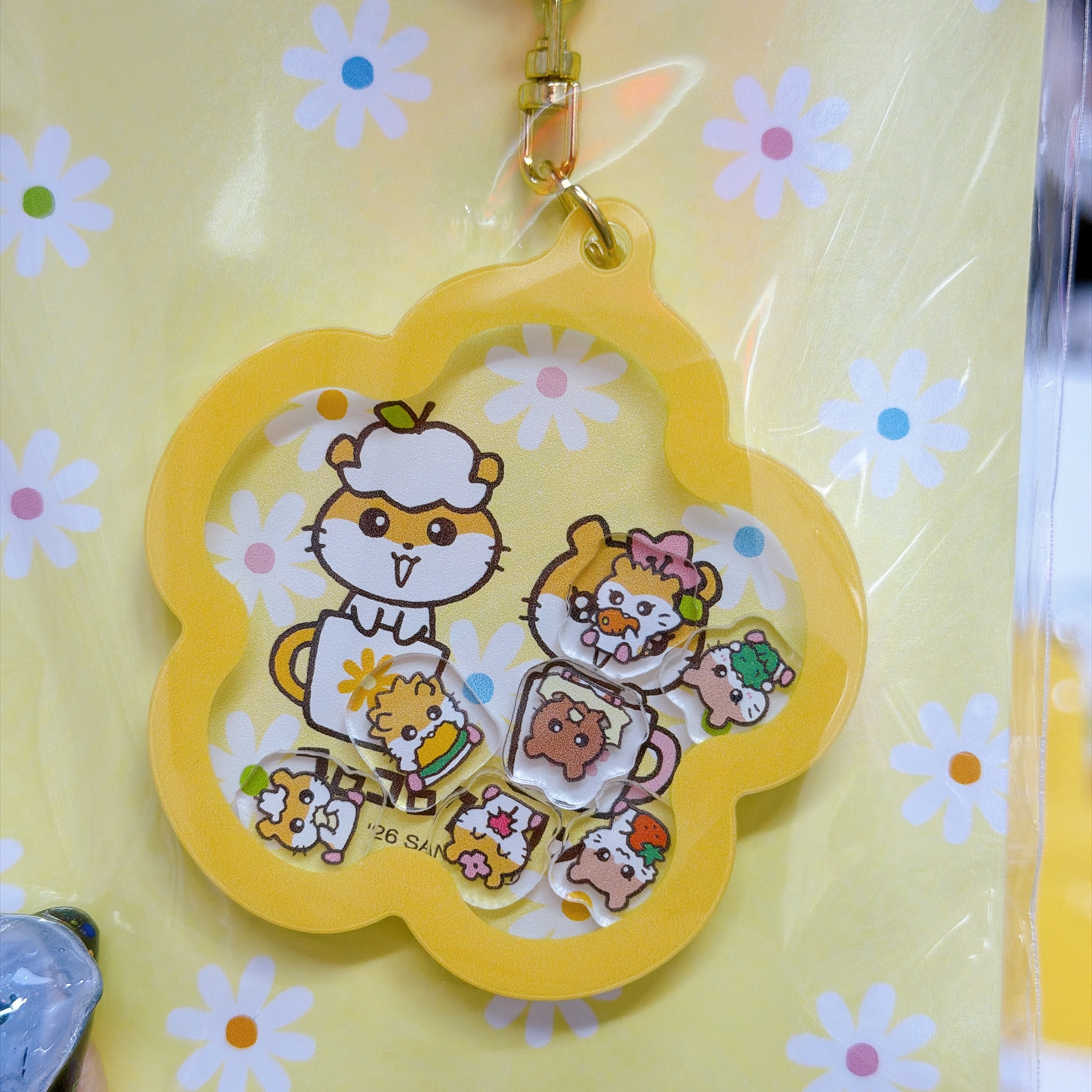 日本直送Sanrio CK新款文具系列