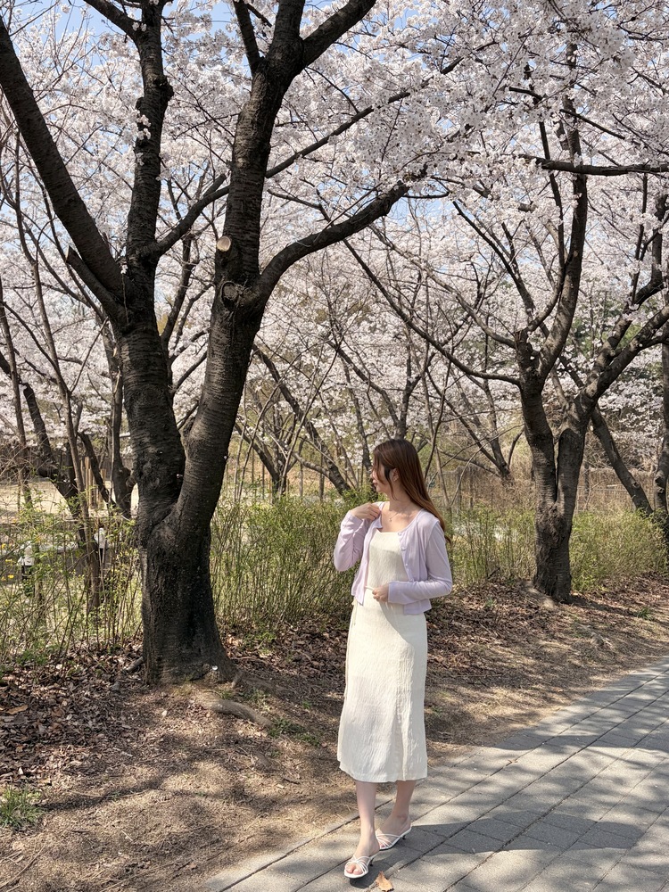 Airy Pastel Cropped Cardigan (Lavender)
