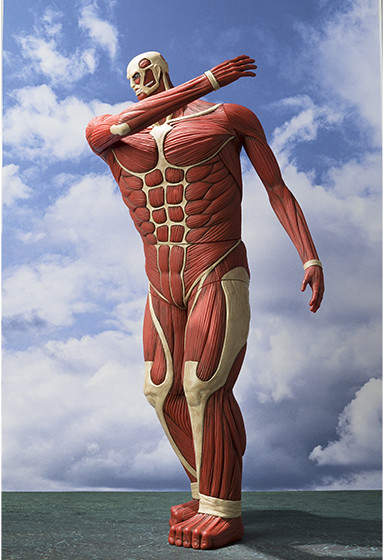 《魂商店限定》超大型巨人 存錢筒 Figure 進擊的巨人 高約60cm