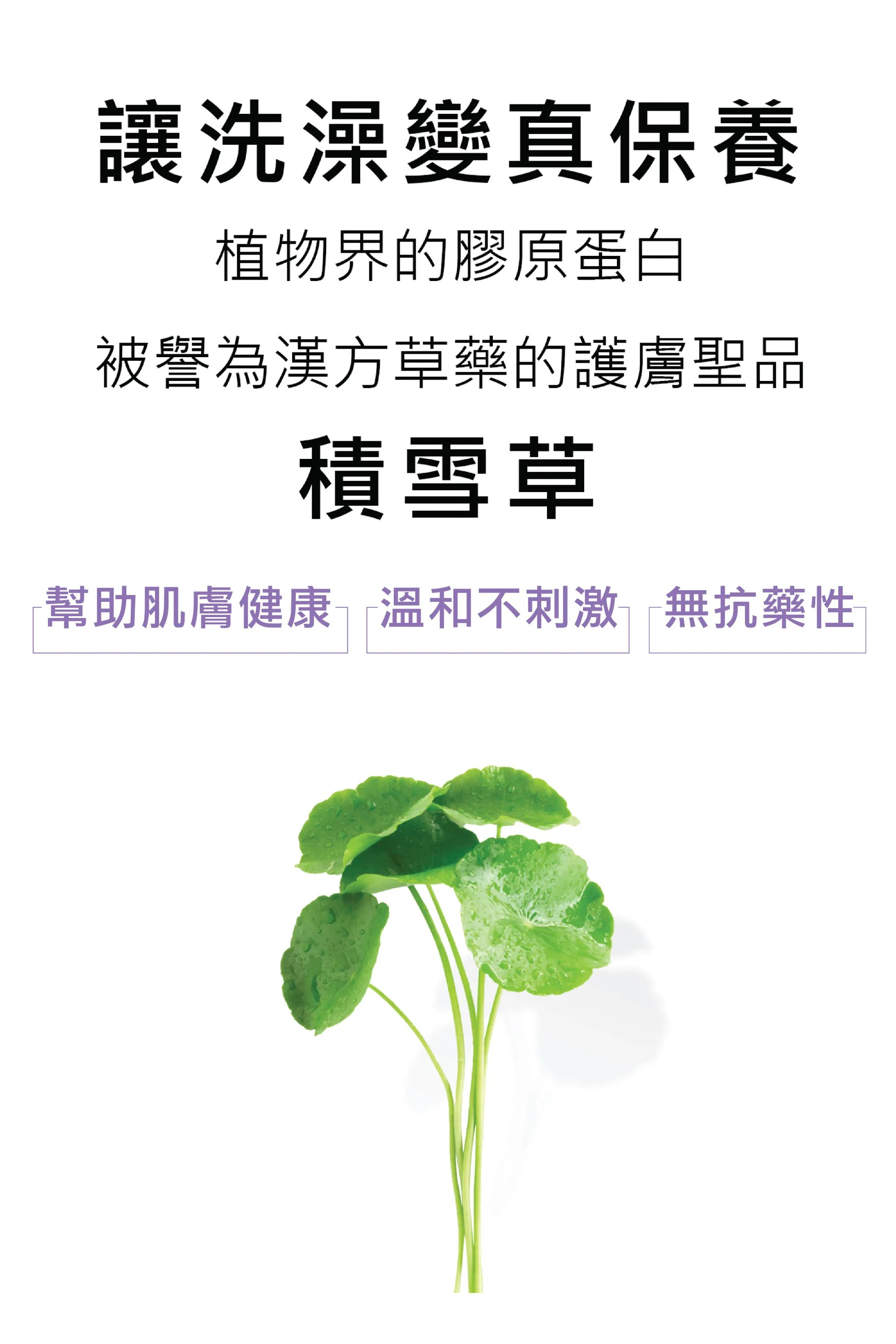 (買1送1)水魔素-【肌膚保健】保濕護膚洗毛精500ml【小蒼蘭】