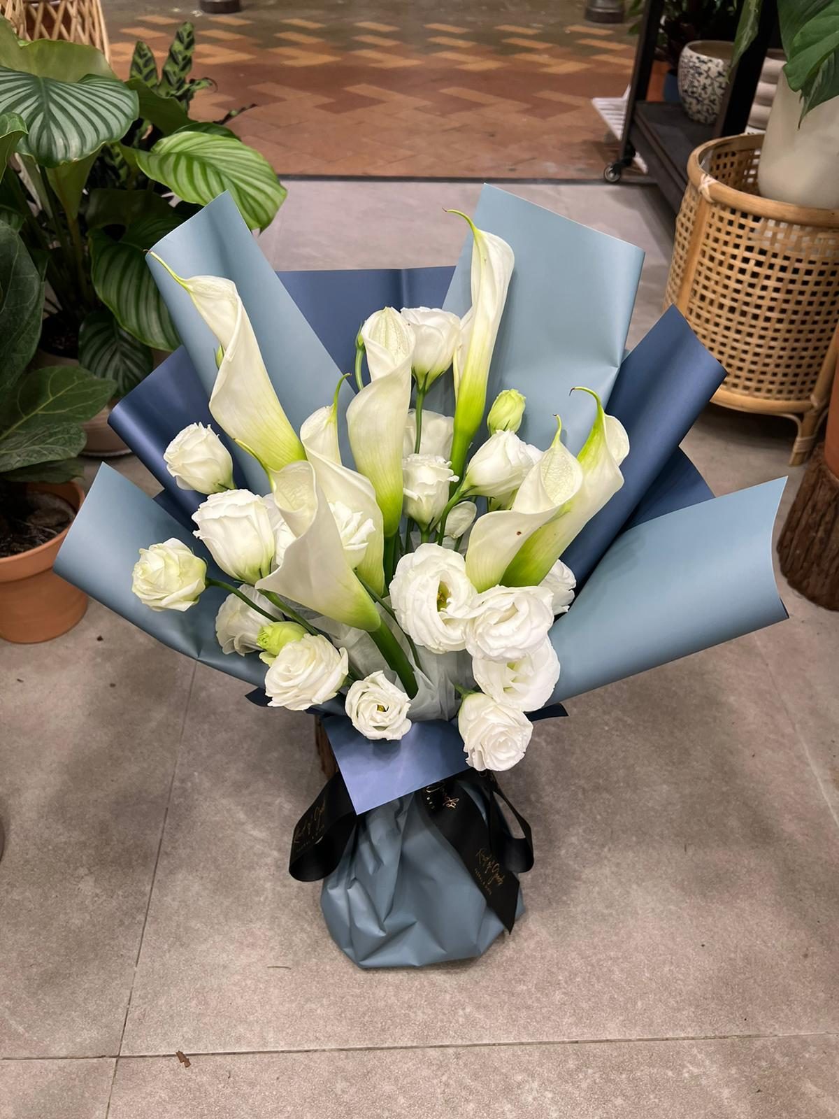 純白詩篇 Elegant Purity