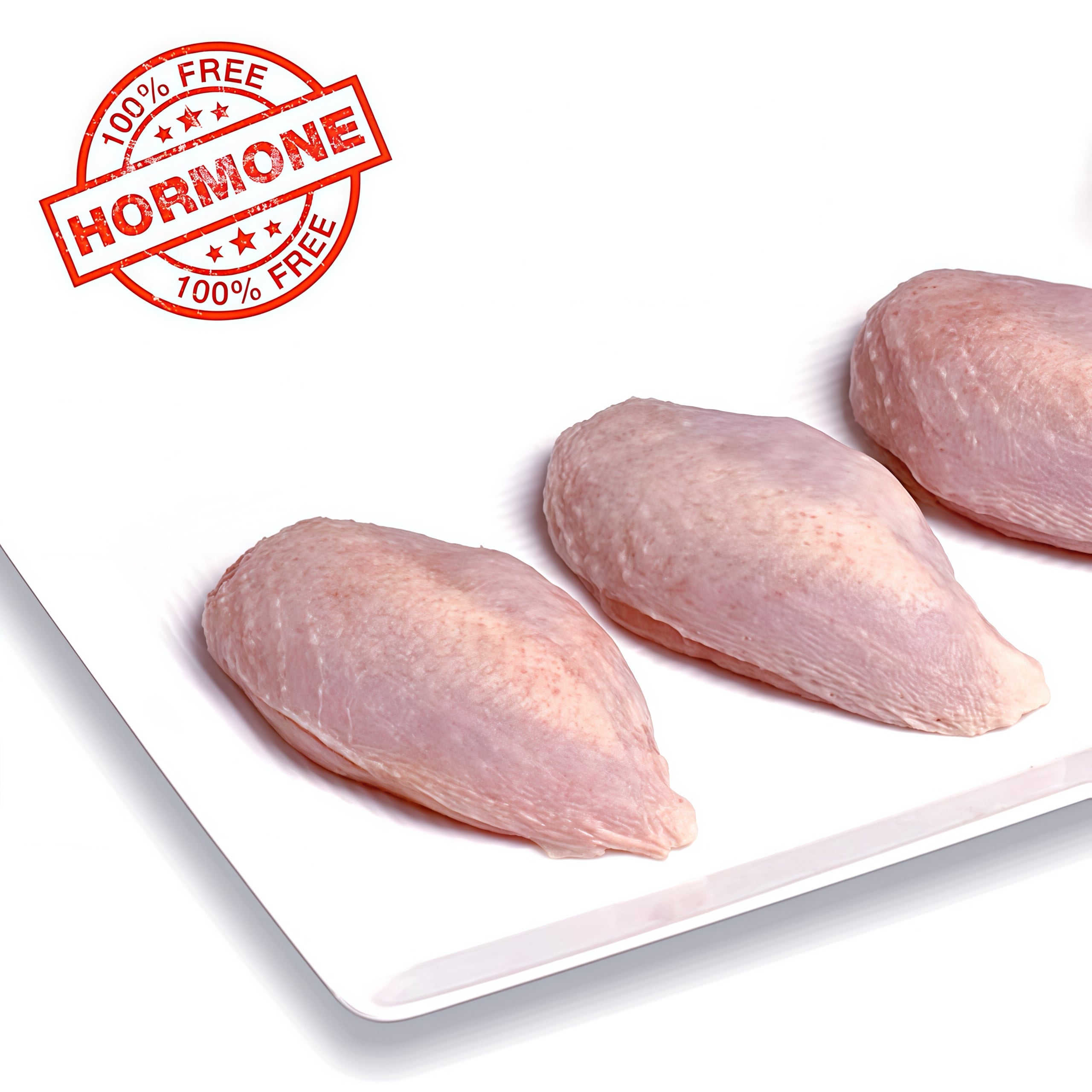 法國Fineplume鵪鶉