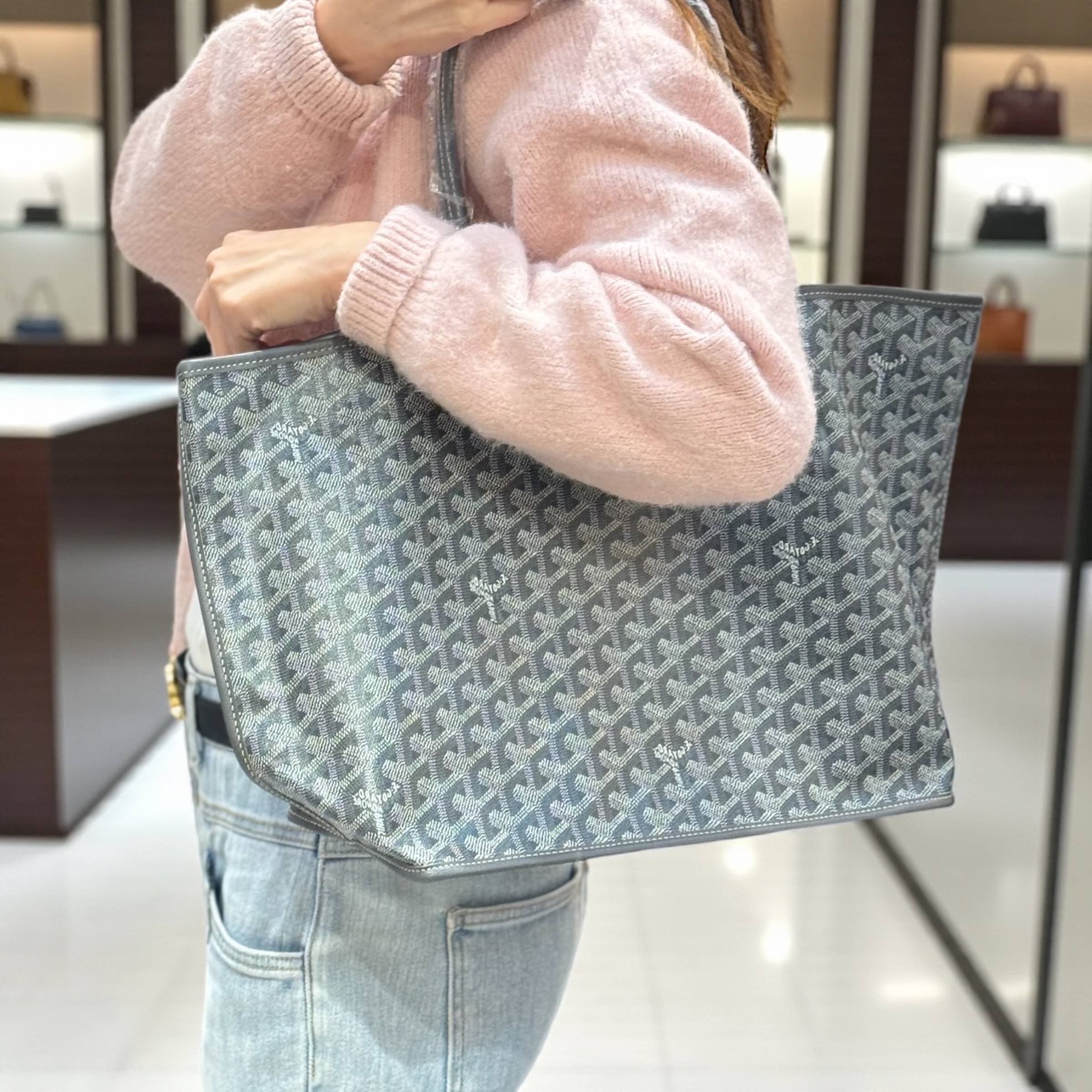 Unused-Goyard Anjou Bag - PM Size Grey