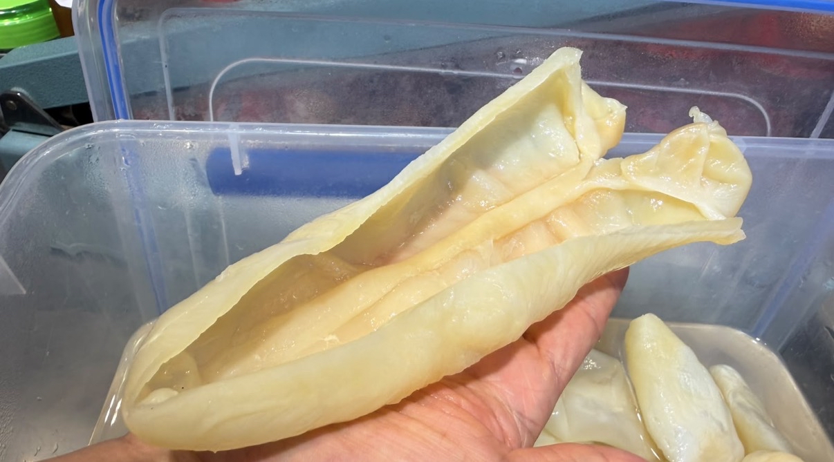 中秋必備 靚半斤裝