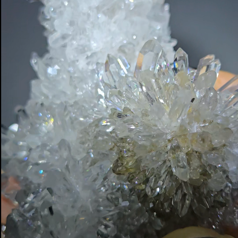 Chrysanthemum needle quartz with floral blooms - CQ486