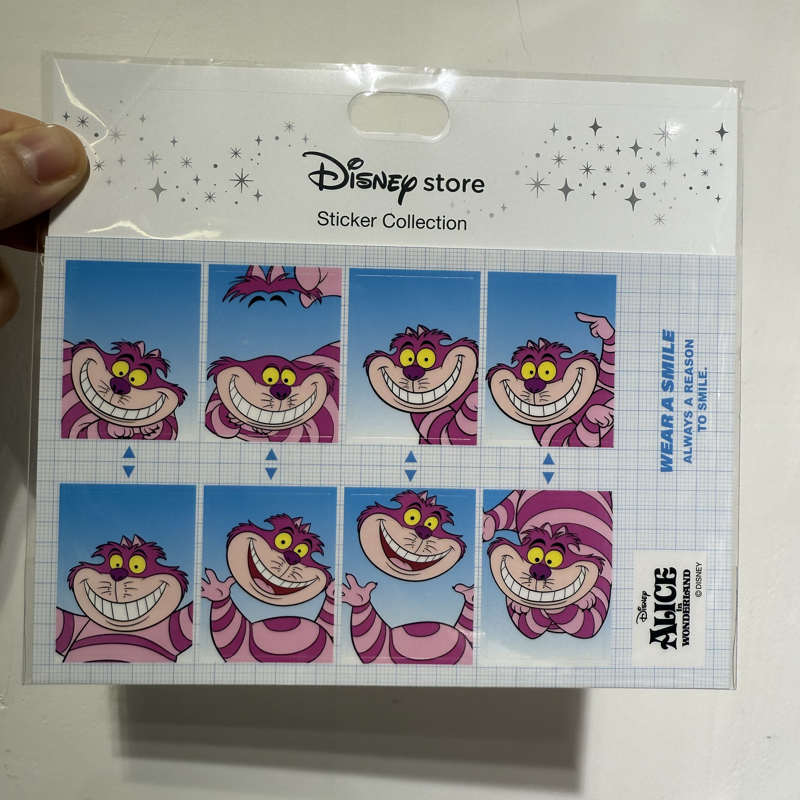 現貨 妙妙貓 證件相 貼紙