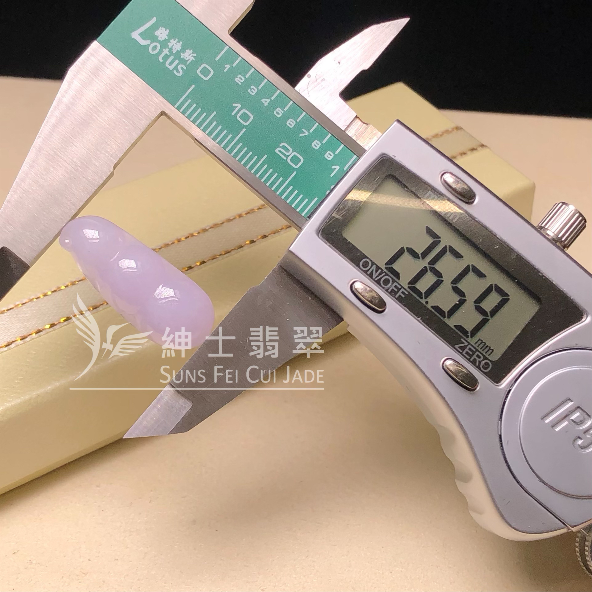 B09041 紫羅蘭福豆