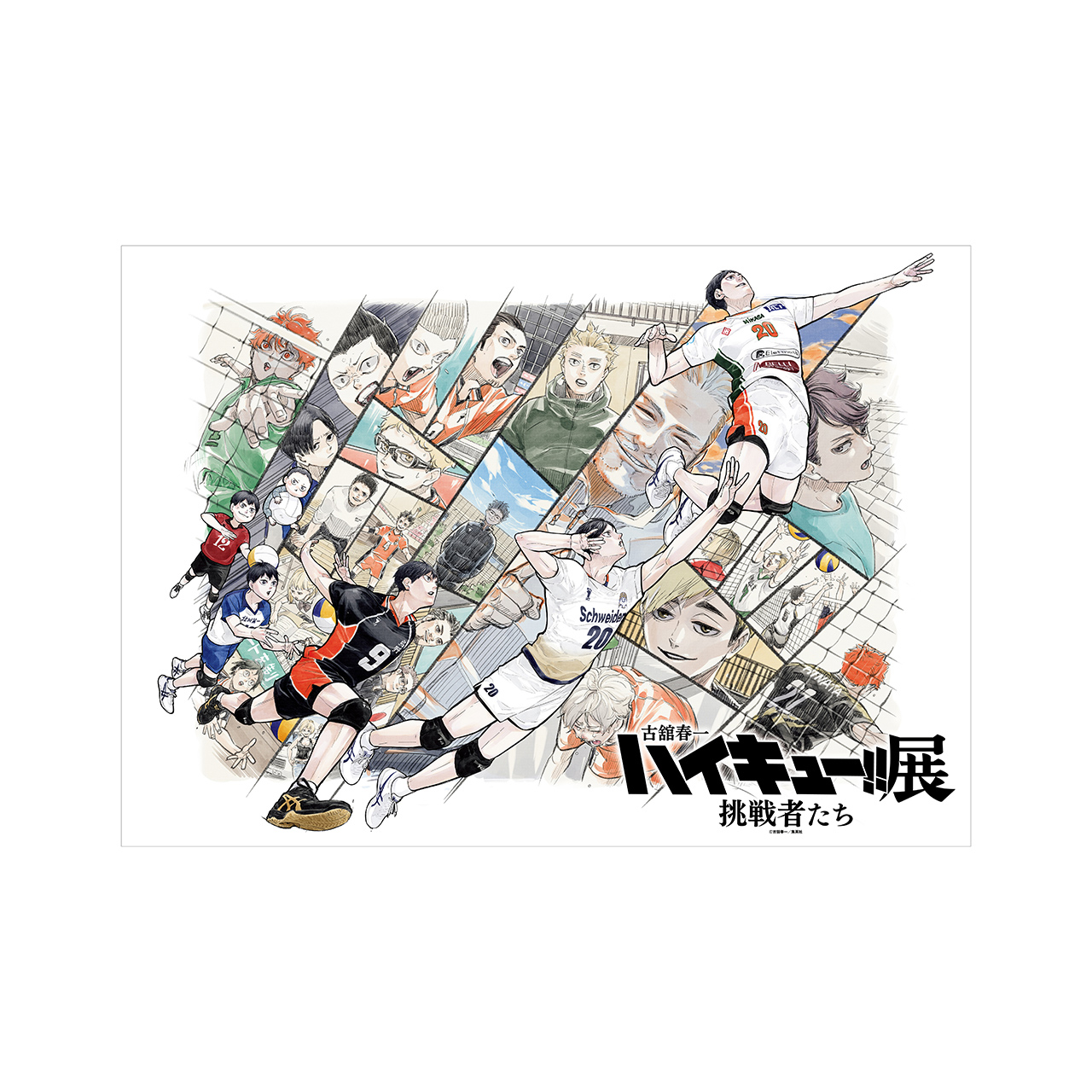 排球少年!!挑戰者們展覽周邊｜日本東京場販代購預約