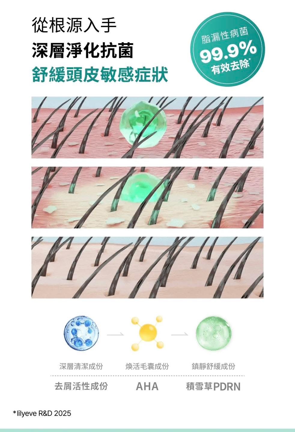 Lilyeve Cica PDRN防脫舒緩洗髮露 500ml