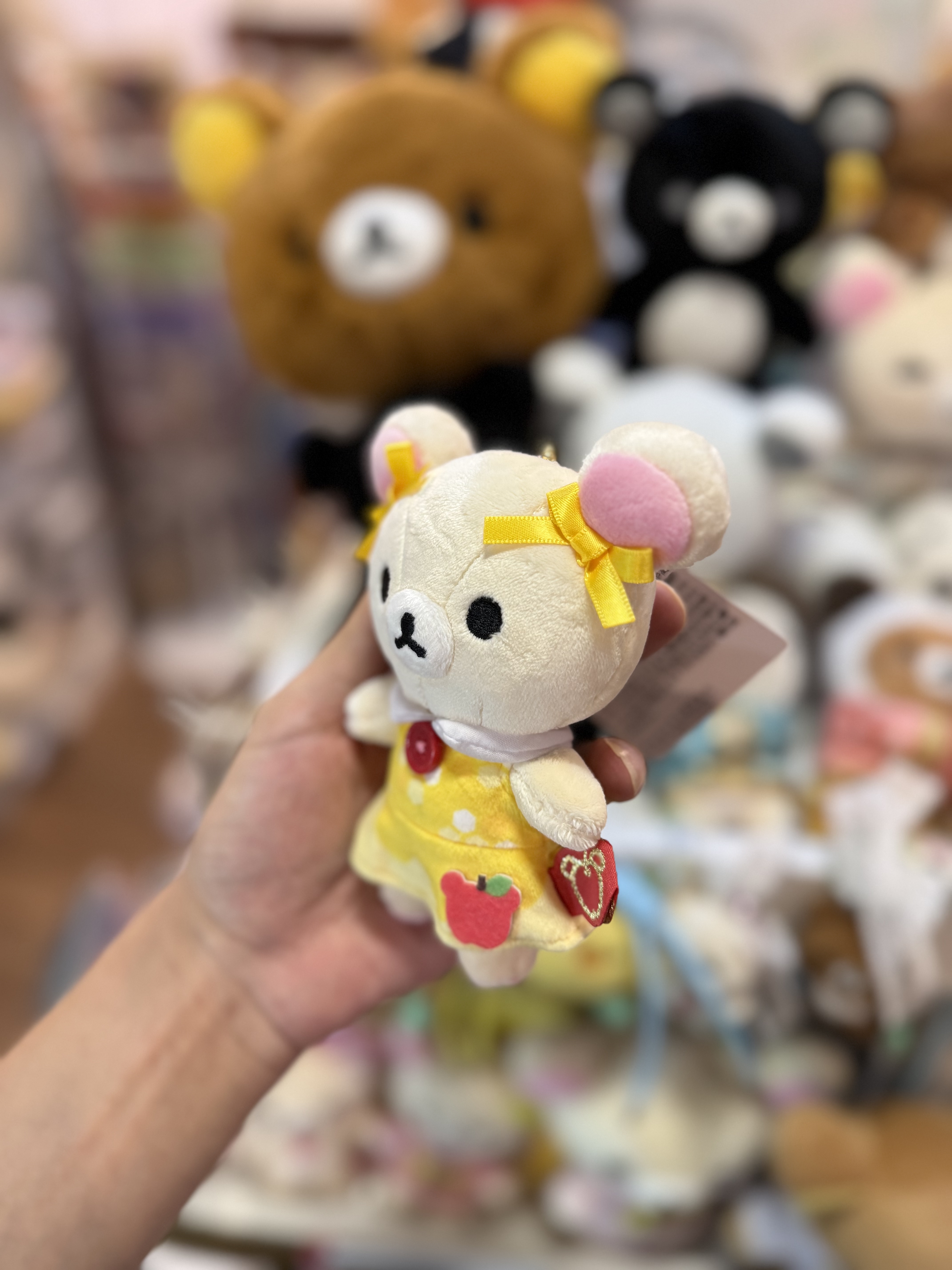 《現貨》全新日本小熊10週年紀念巡迴pop up店限定小熊探險隊系列掛飾