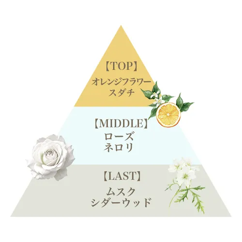 日本直送~新款FERNANDA古龍水 3種味選擇