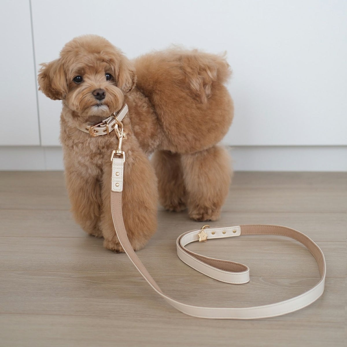 🌸 【預訂】Chiikawa 小型犬用 狗帶(合皮)